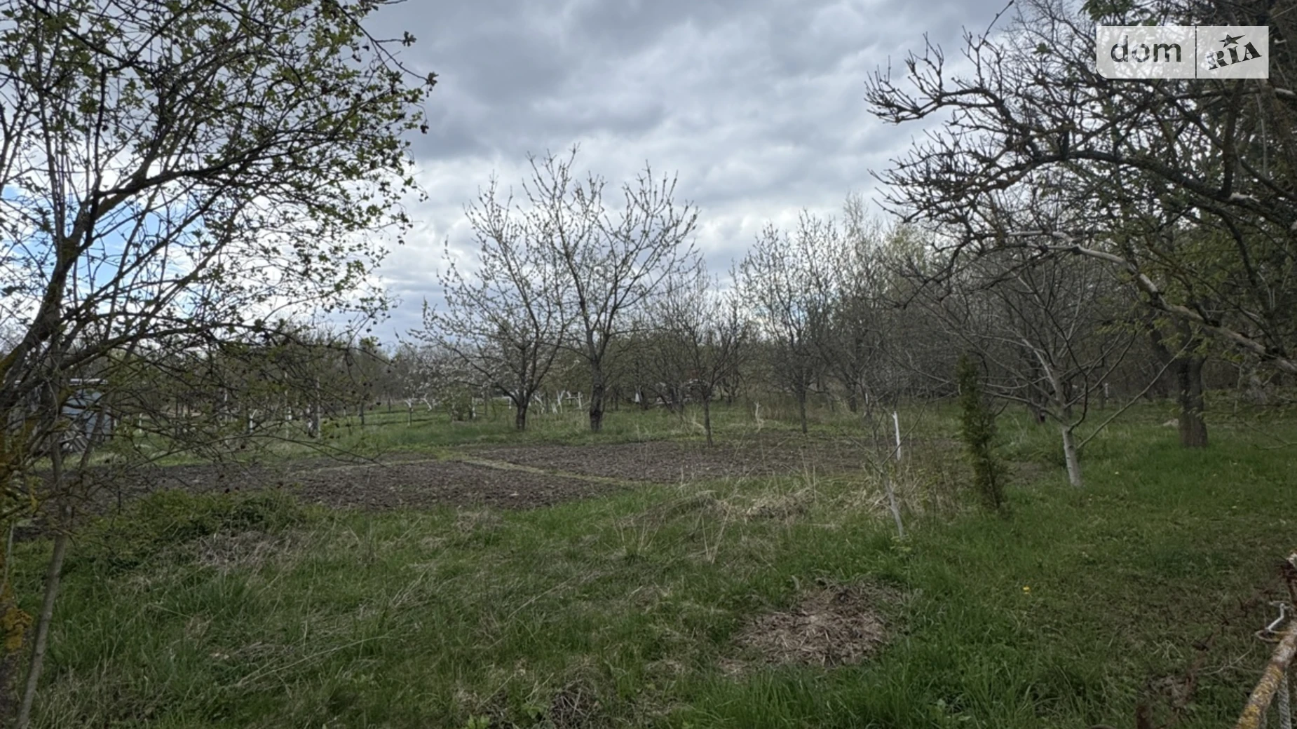 ул. Центральная Тирановка, цена: 8000 $ - фото 3