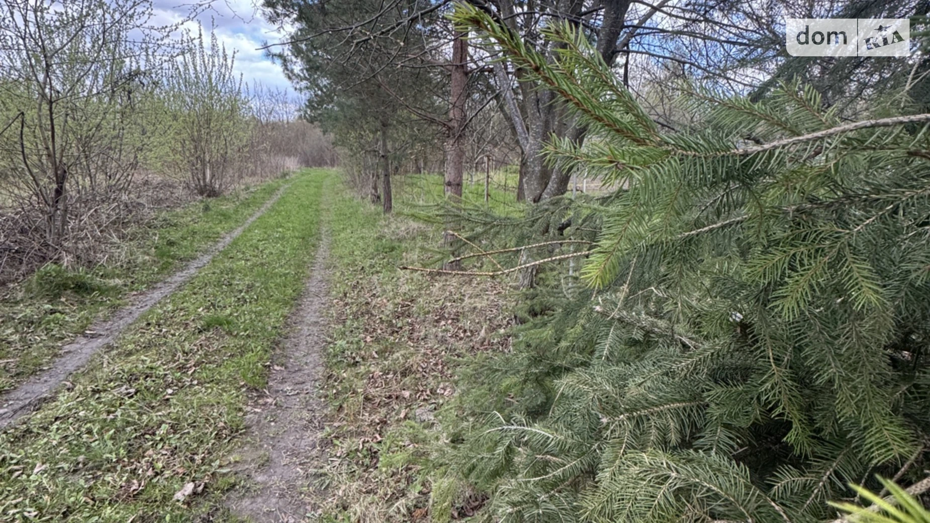 ул. Центральная Тирановка, цена: 8000 $ - фото 4