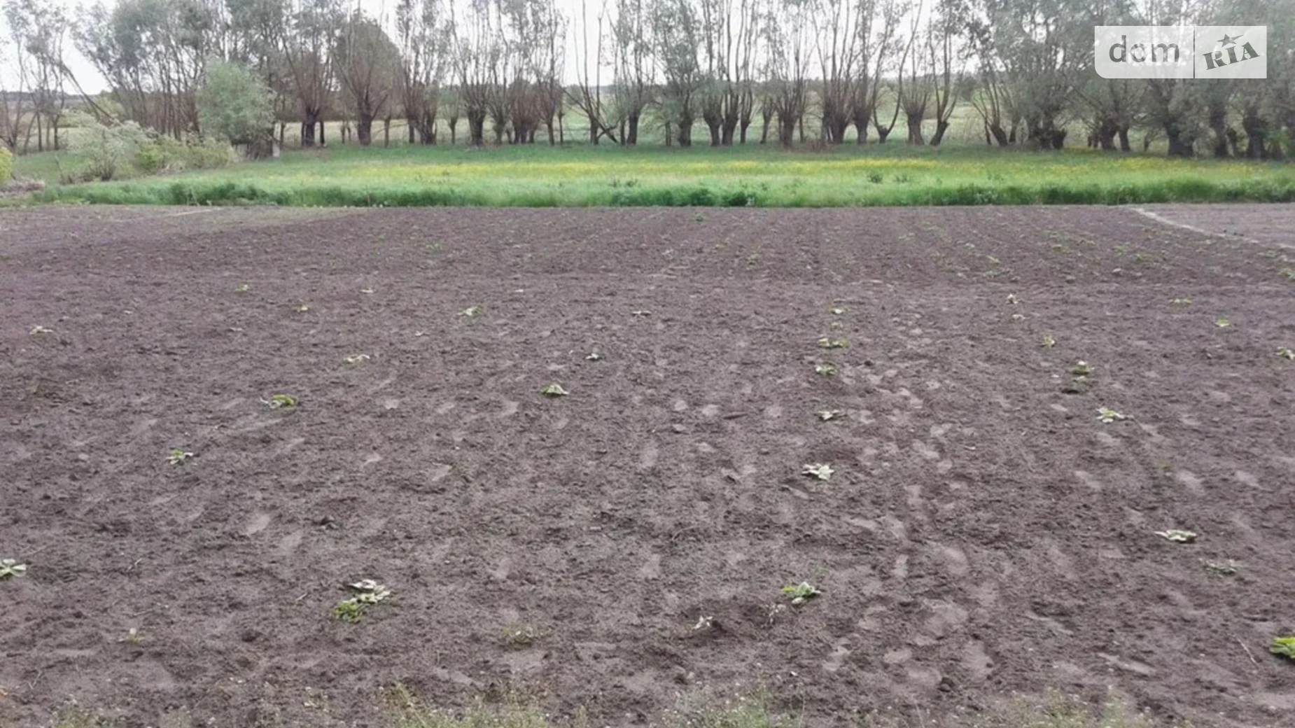 Набережна Каленики, цена: 500000 грн - фото 3