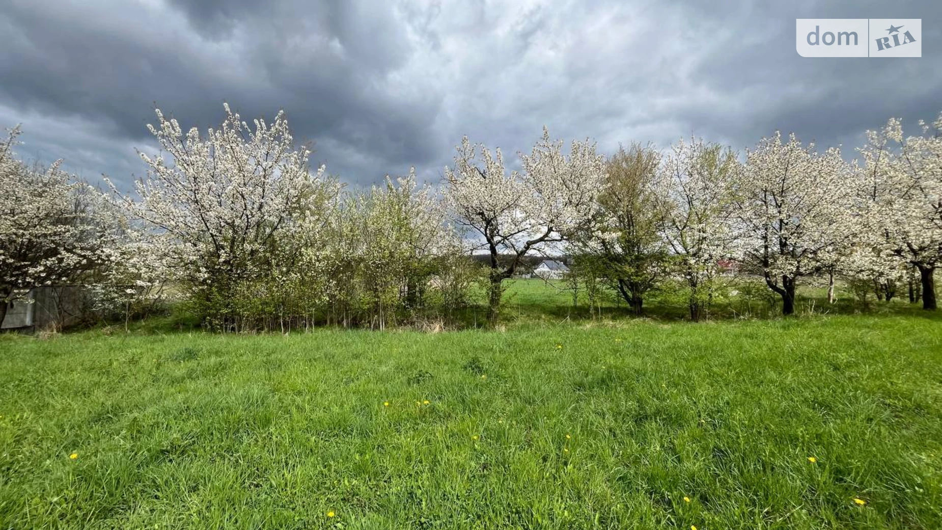 Продается земельный участок 25 соток в Ивано-Франковской области, цена: 20000 $ - фото 2