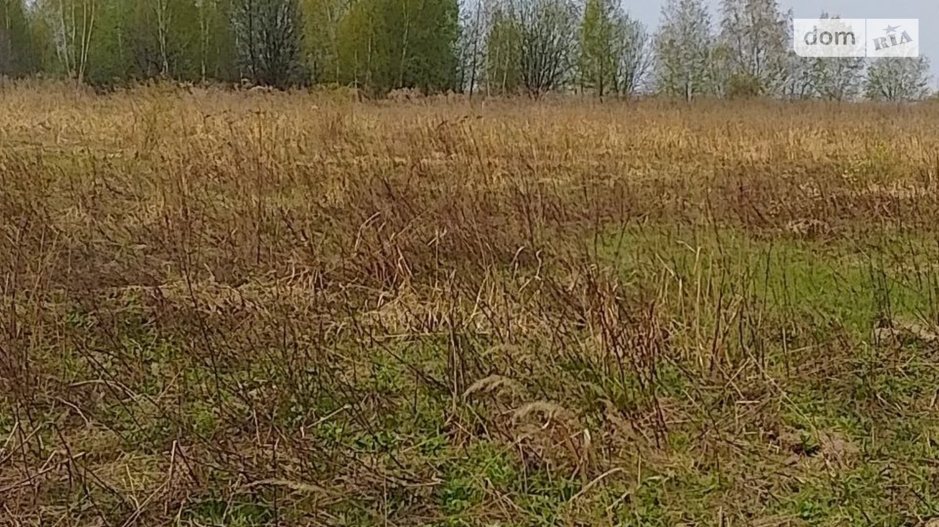 Продается земельный участок 12 соток в Ивано-Франковской области, цена: 12000 $ - фото 2