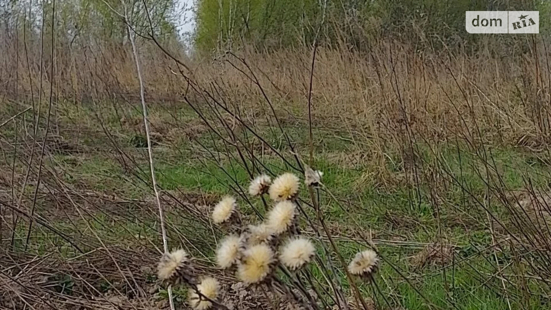 Продается земельный участок 12 соток в Ивано-Франковской области, цена: 12000 $ - фото 3