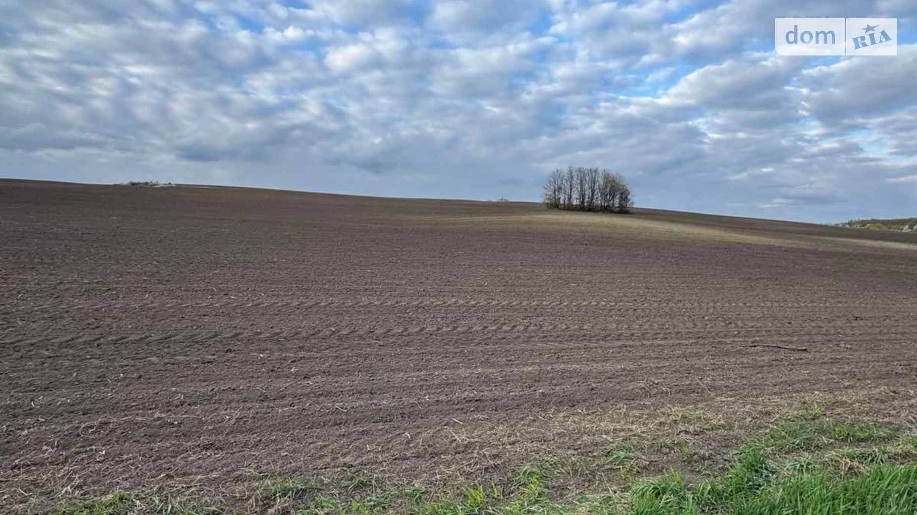 Данківці, цена: 38520 грн - фото 2