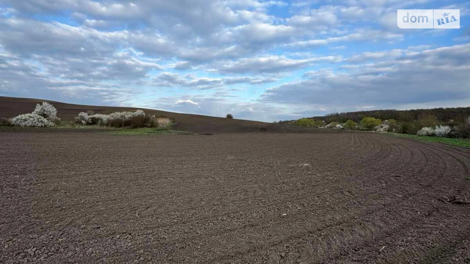 Данківці, цена: 38520 грн - фото 3