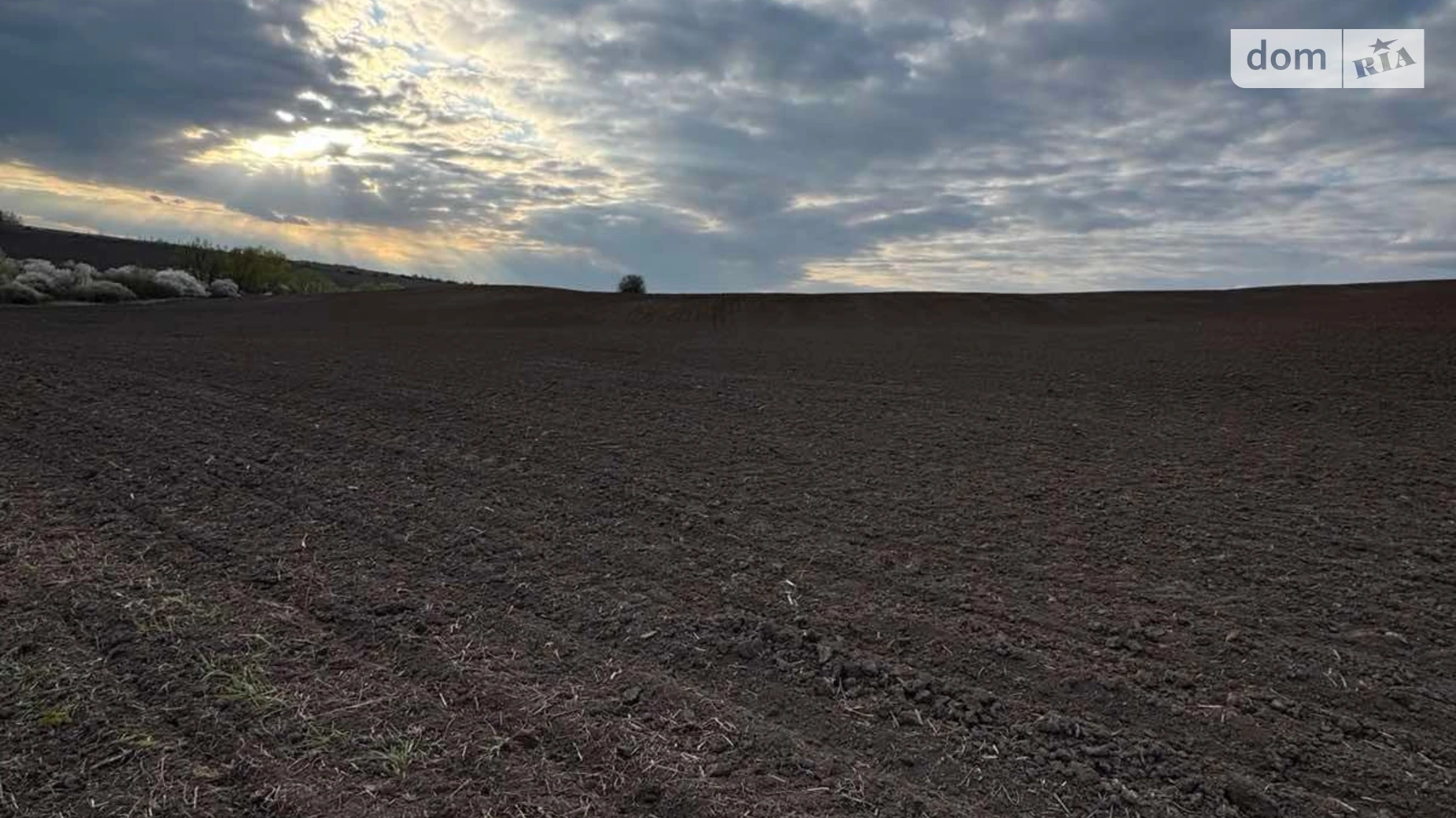 Данківці, цена: 38520 грн - фото 4