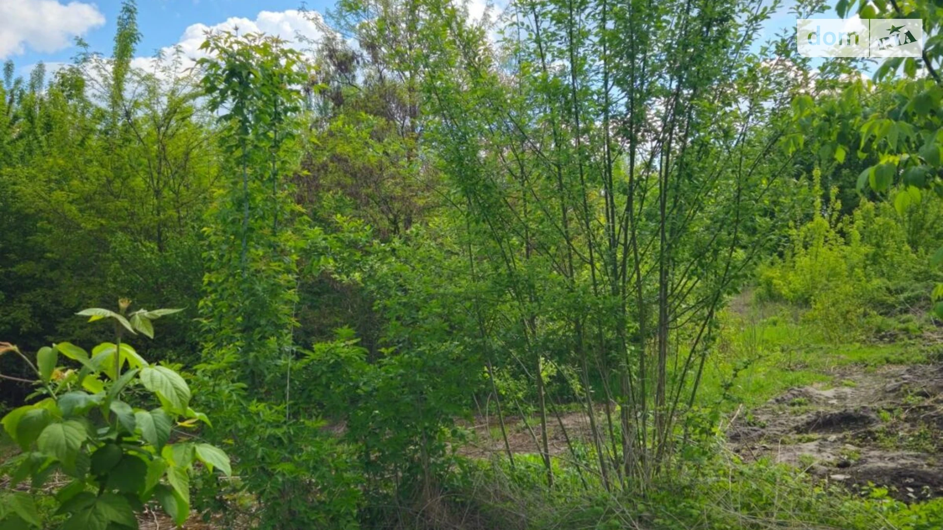 Печанівка, цена: 2424 грн - фото 2