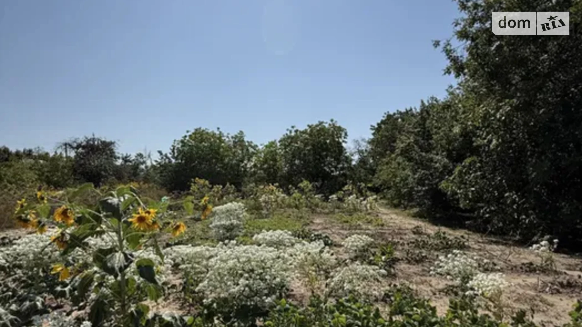 вул. Білаєнка Гора, цена: 32000 $ - фото 4