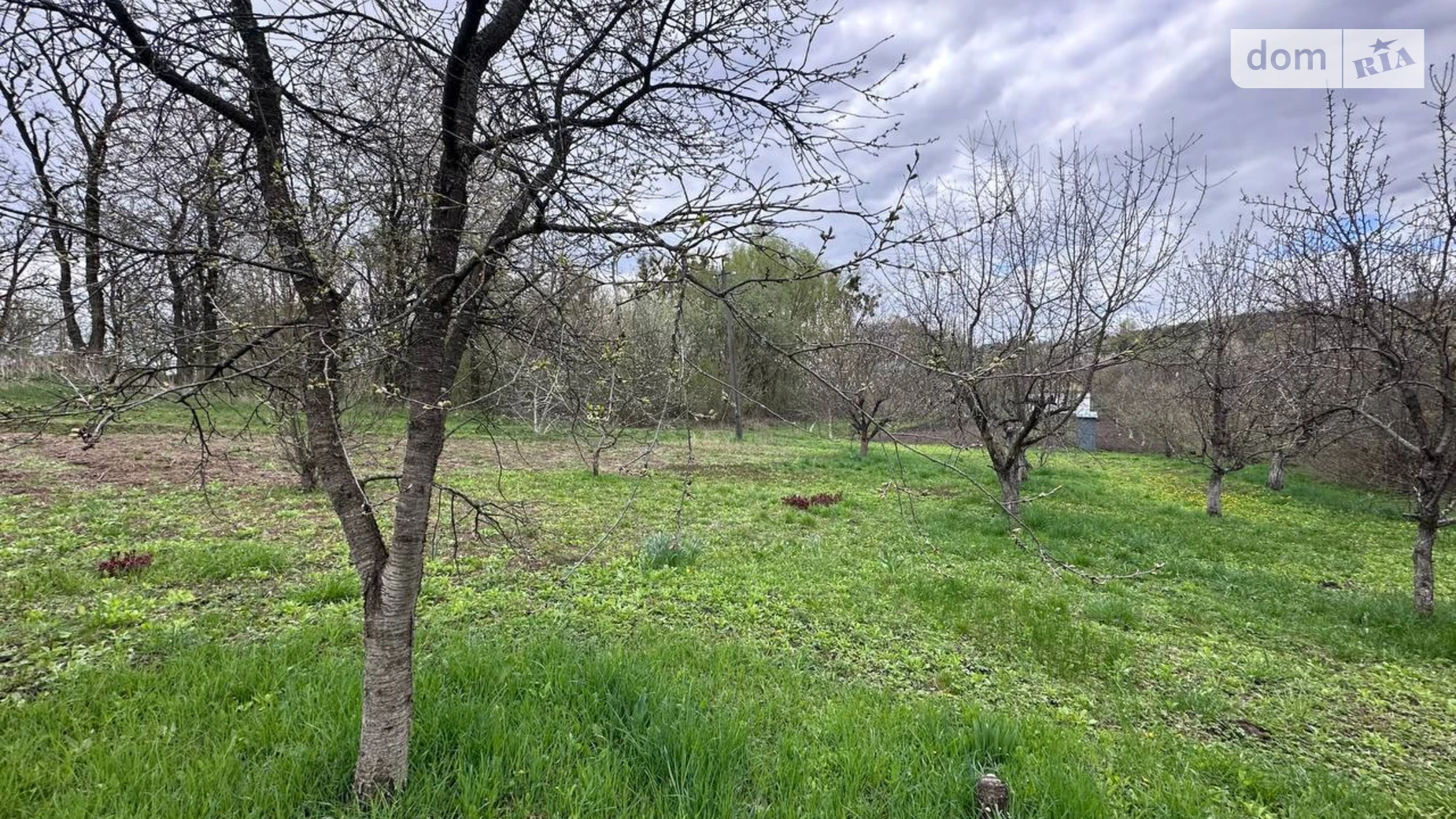 Продается земельный участок 8 соток в Хмельницкой области, цена: 6000 $ - фото 2