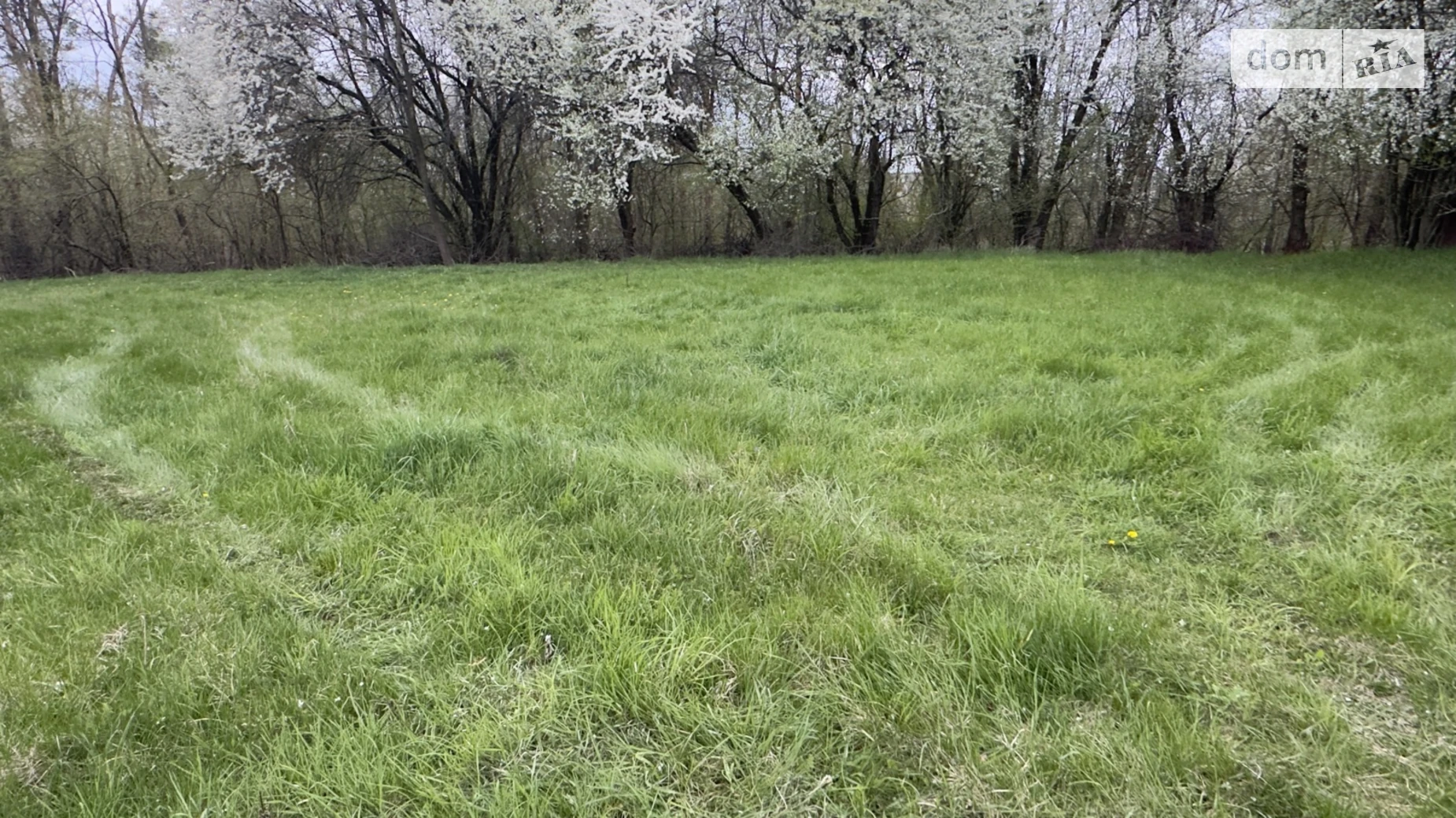 Продается земельный участок 17.3 соток в Винницкой области, цена: 8500 $ - фото 3