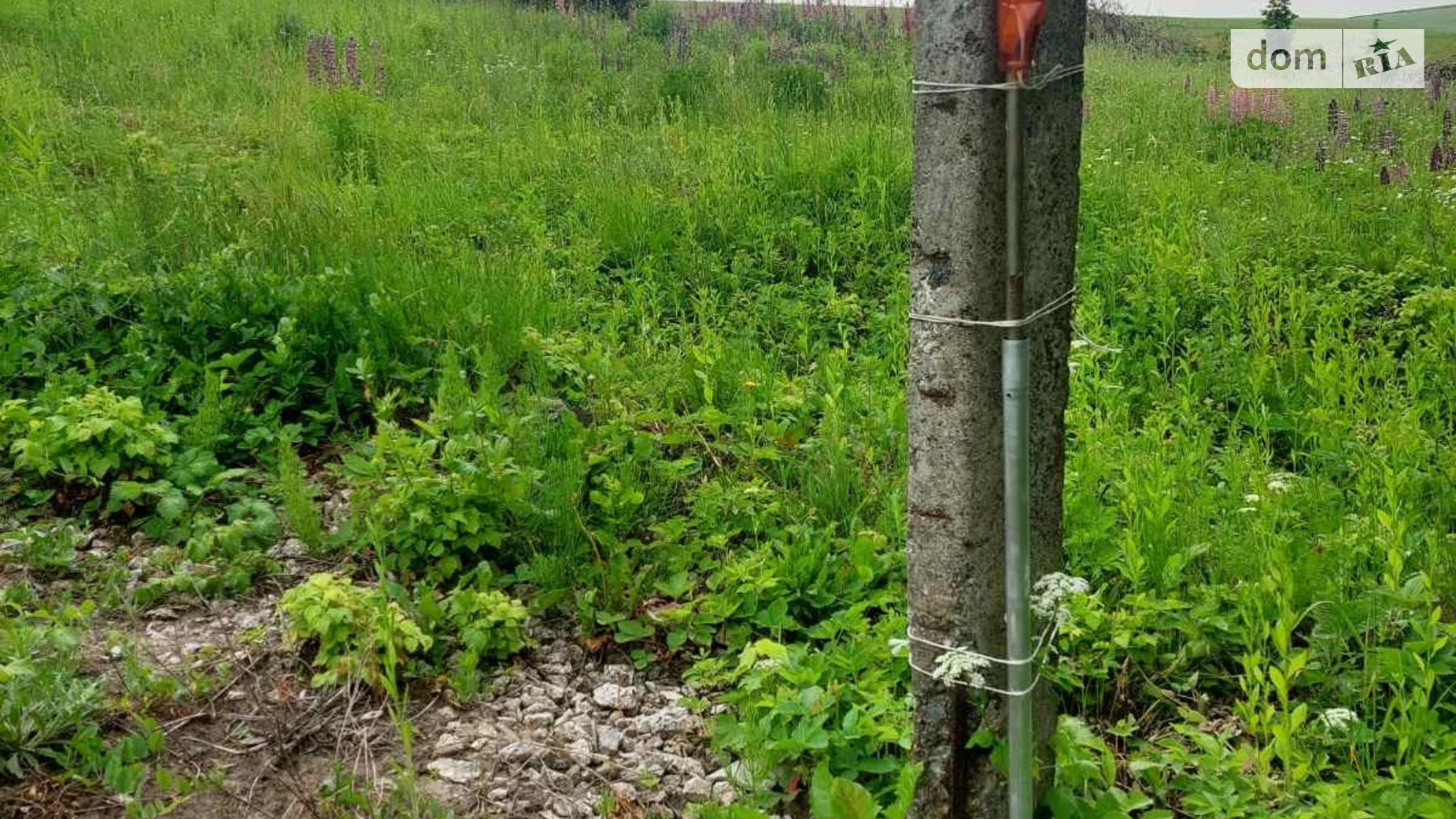 Продается земельный участок 0.075 соток в Тернопольской области, цена: 9800 $ - фото 3
