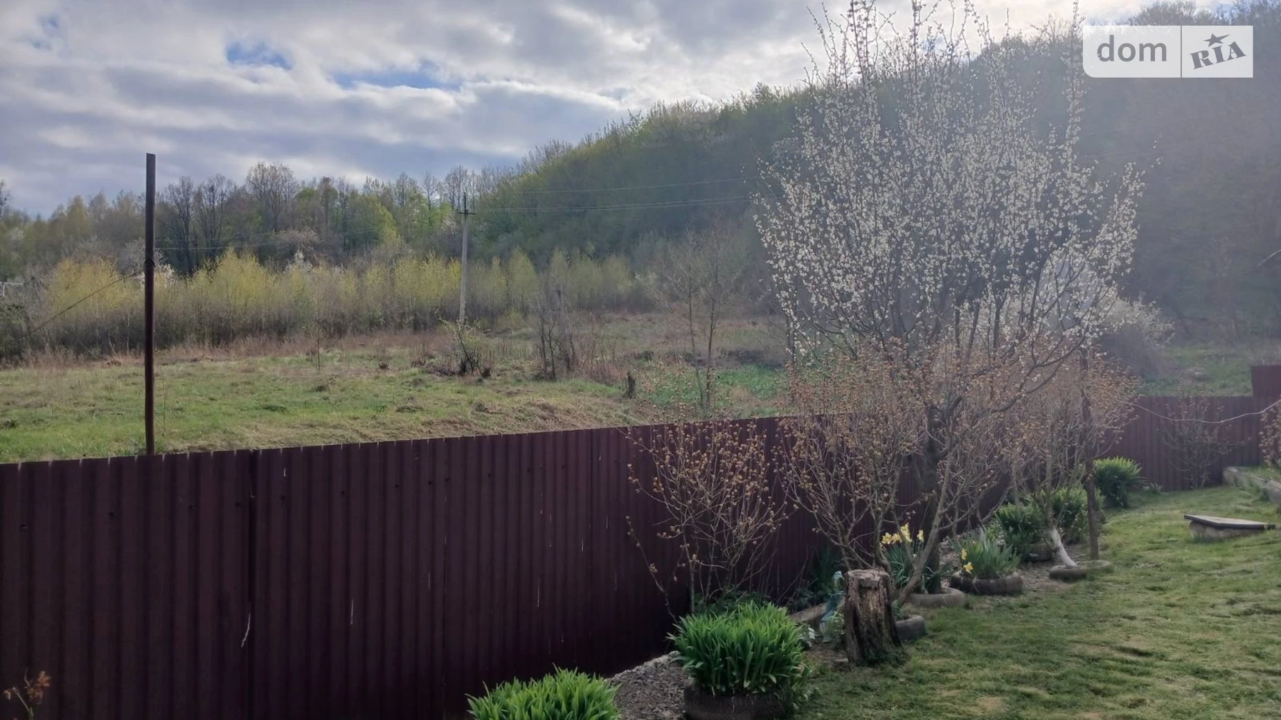 ул. Мира, 59 Лесарня, цена: 8000 грн - фото 4