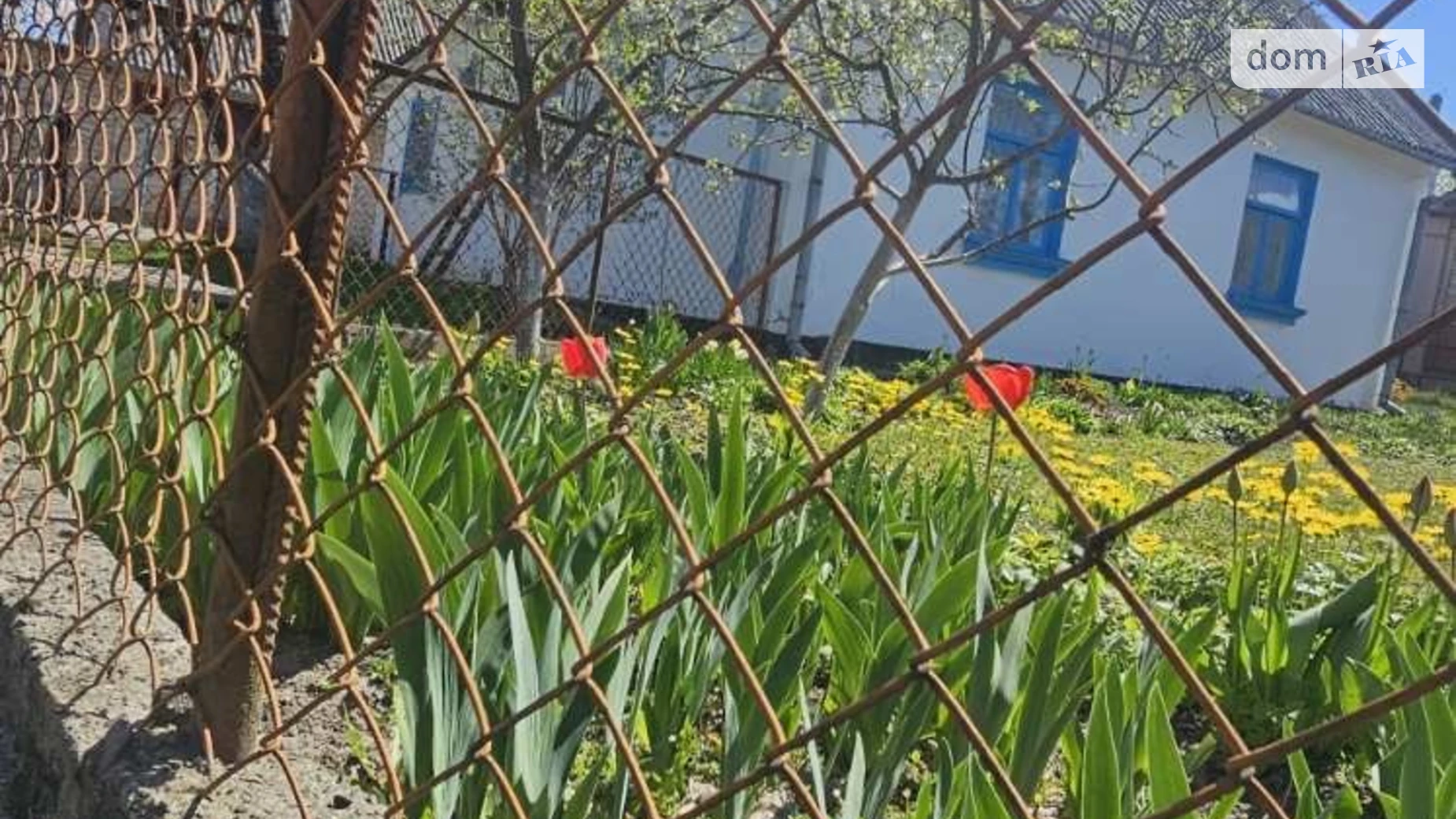 ул. Сморжовская Заря, цена: 36000 $ - фото 3