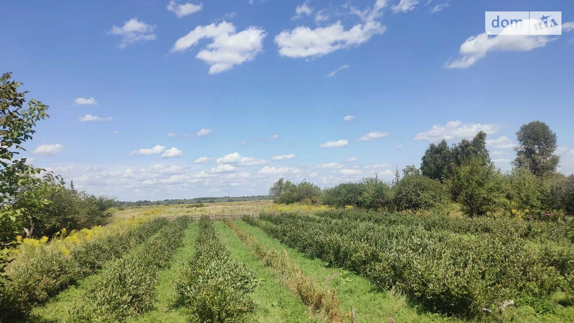 Продается земельный участок 64 соток в Черниговской области, цена: 25000 $ - фото 2