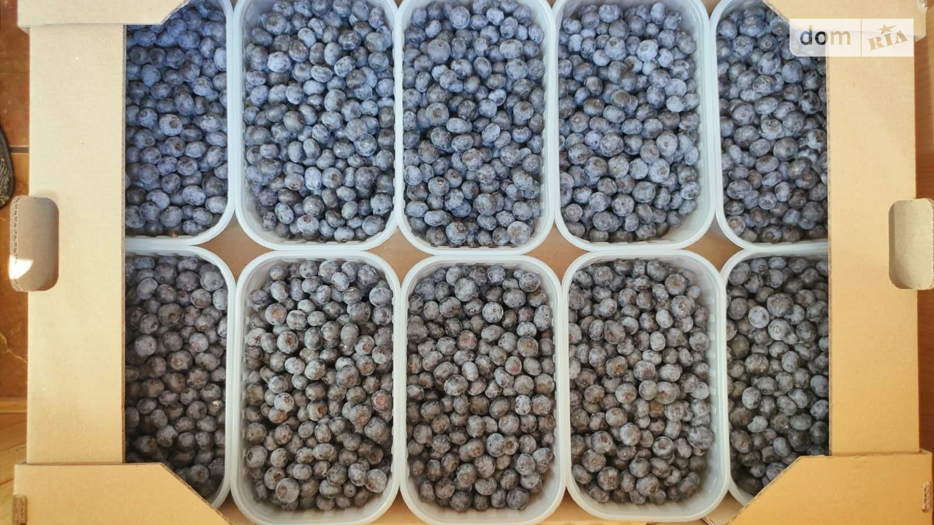 Продается земельный участок 64 соток в Черниговской области, цена: 25000 $ - фото 5