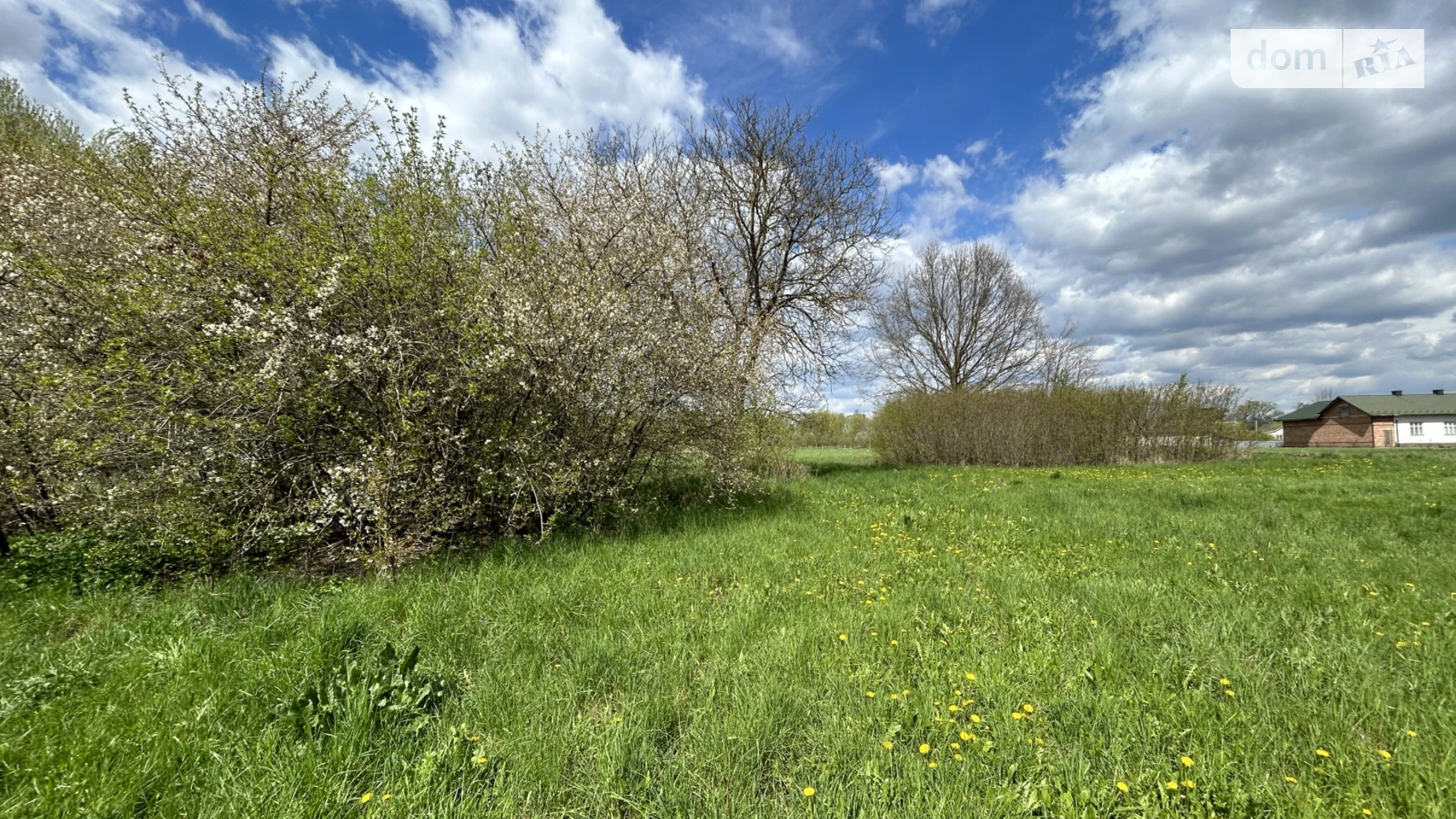 Продается земельный участок 50 соток в Черновицкой области, цена: 50000 $ - фото 3