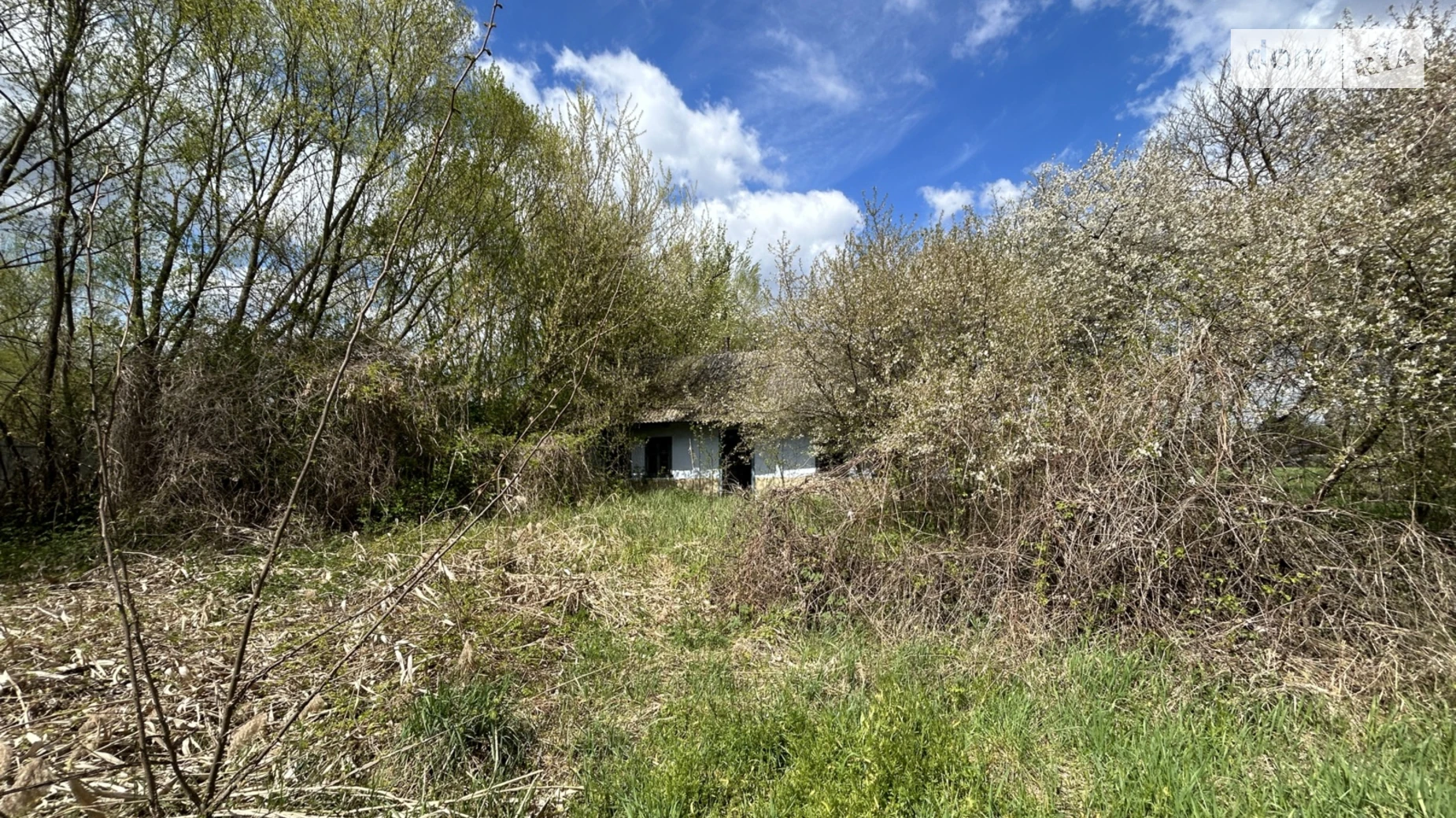 Продается земельный участок 50 соток в Черновицкой области, цена: 50000 $ - фото 2