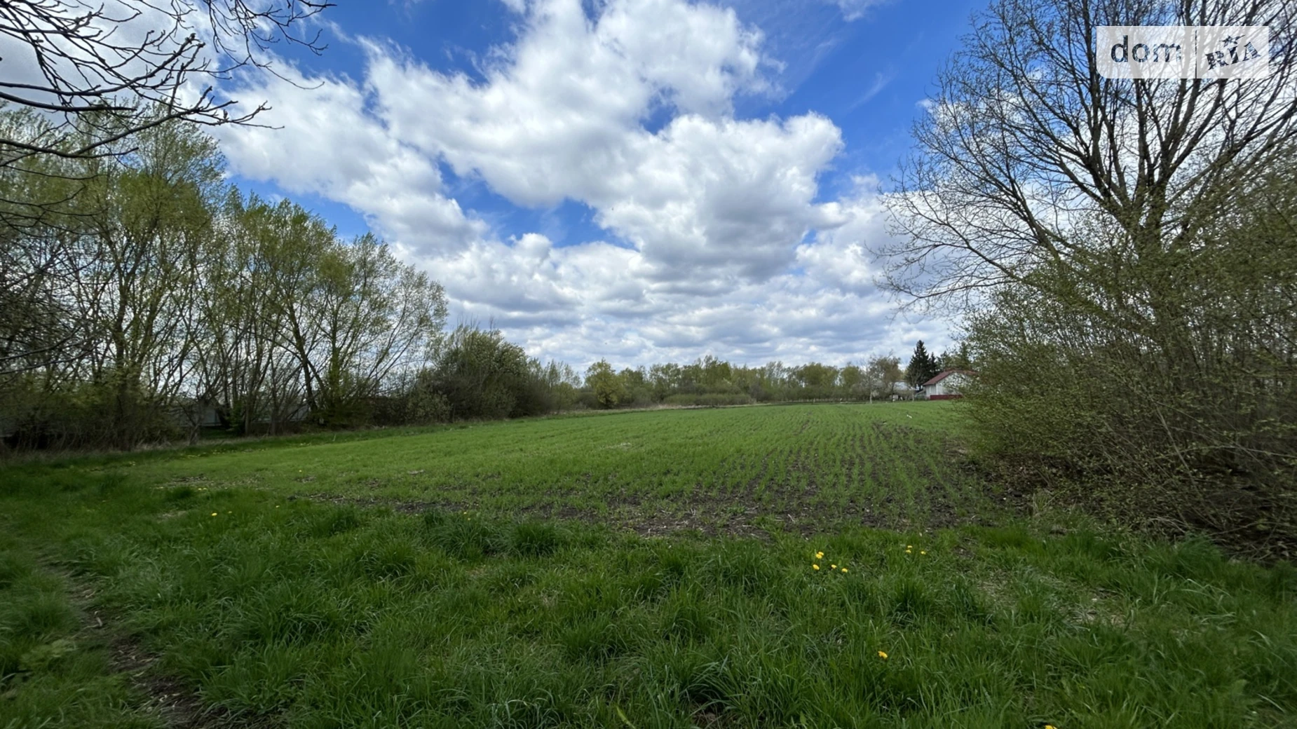 Продается земельный участок 50 соток в Черновицкой области, цена: 50000 $ - фото 5