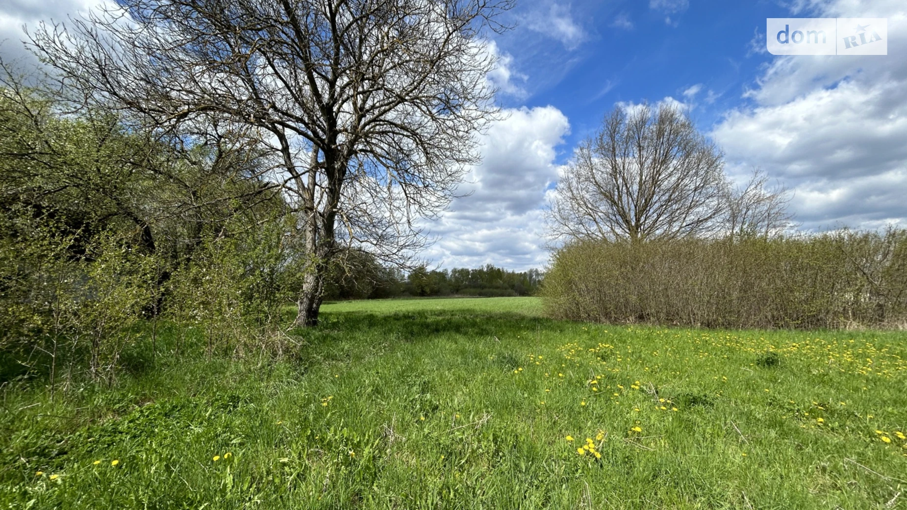 Продается земельный участок 50 соток в Черновицкой области, цена: 50000 $ - фото 4