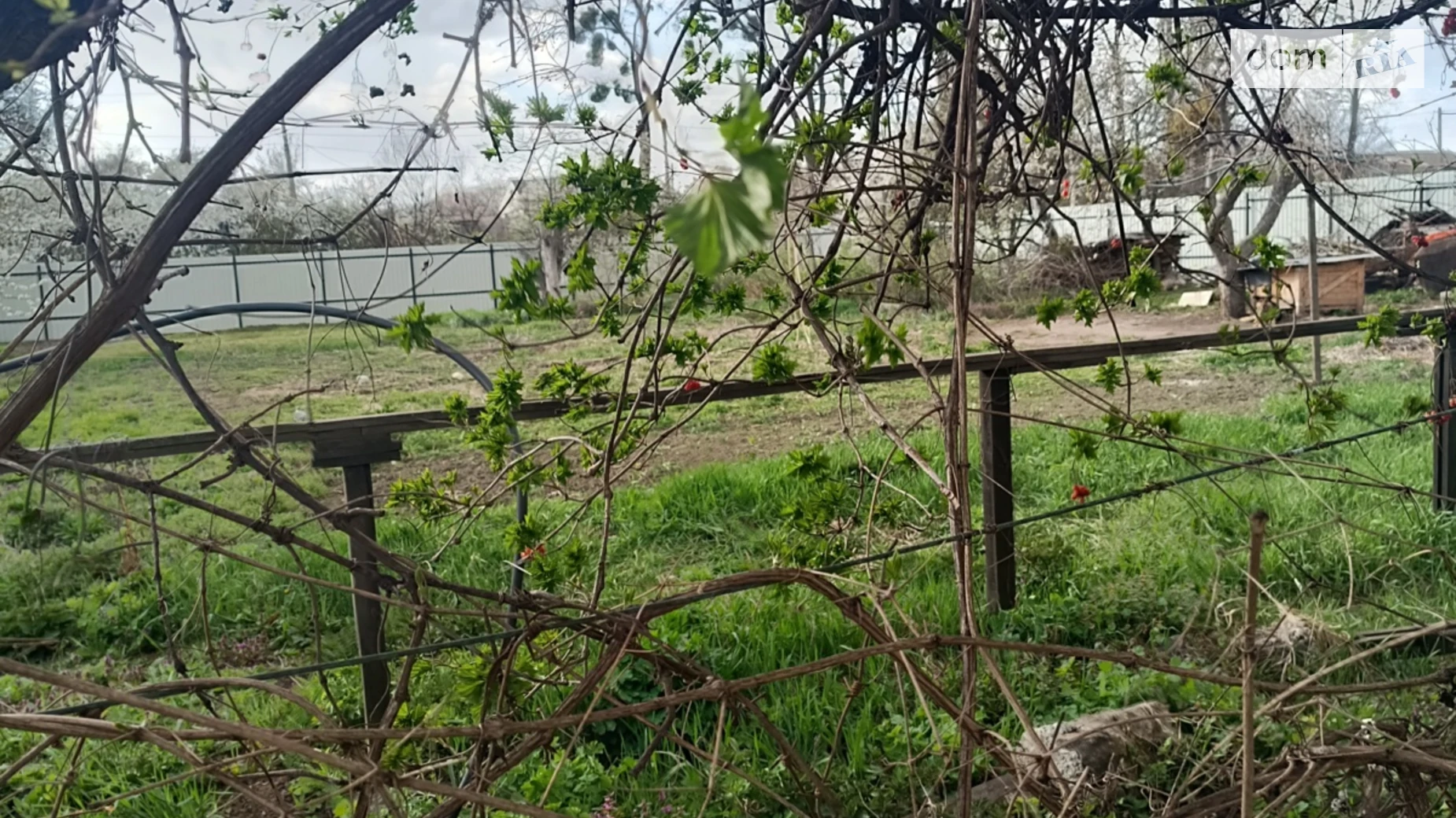 Продается земельный участок 20 соток в Винницкой области, цена: 400000 $ - фото 2