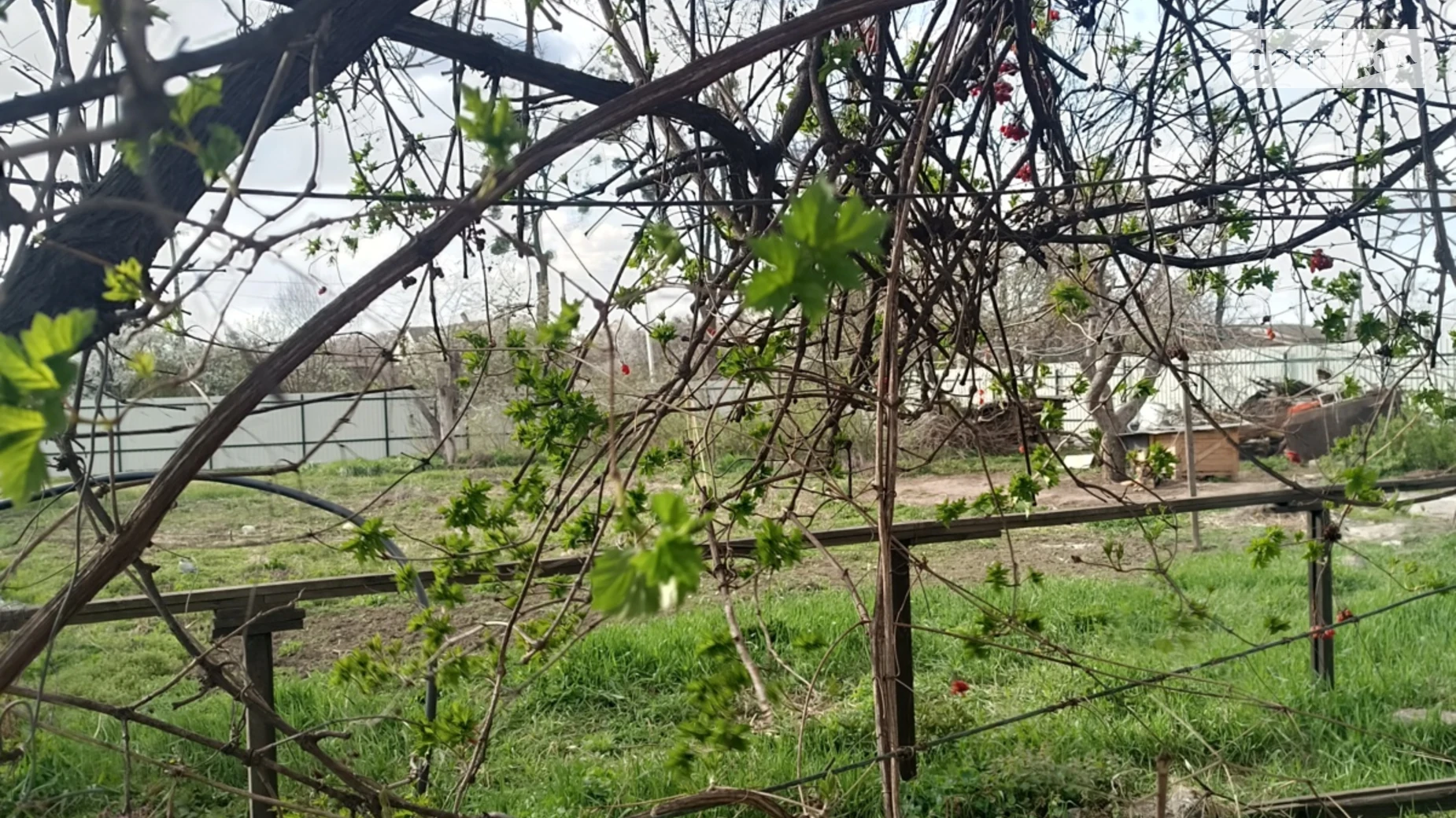 Продается земельный участок 20 соток в Винницкой области, цена: 400000 $ - фото 3