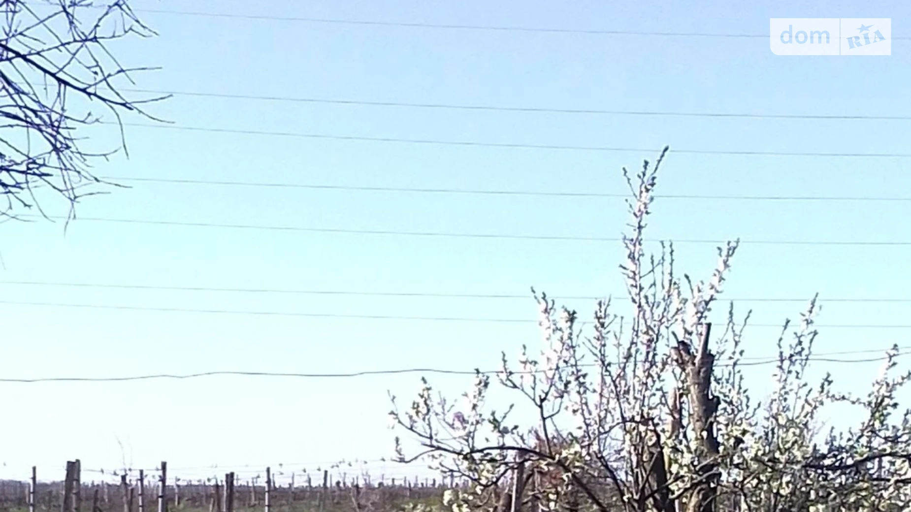 ул. Еричная Прибрежное, цена: 20000 $ - фото 2