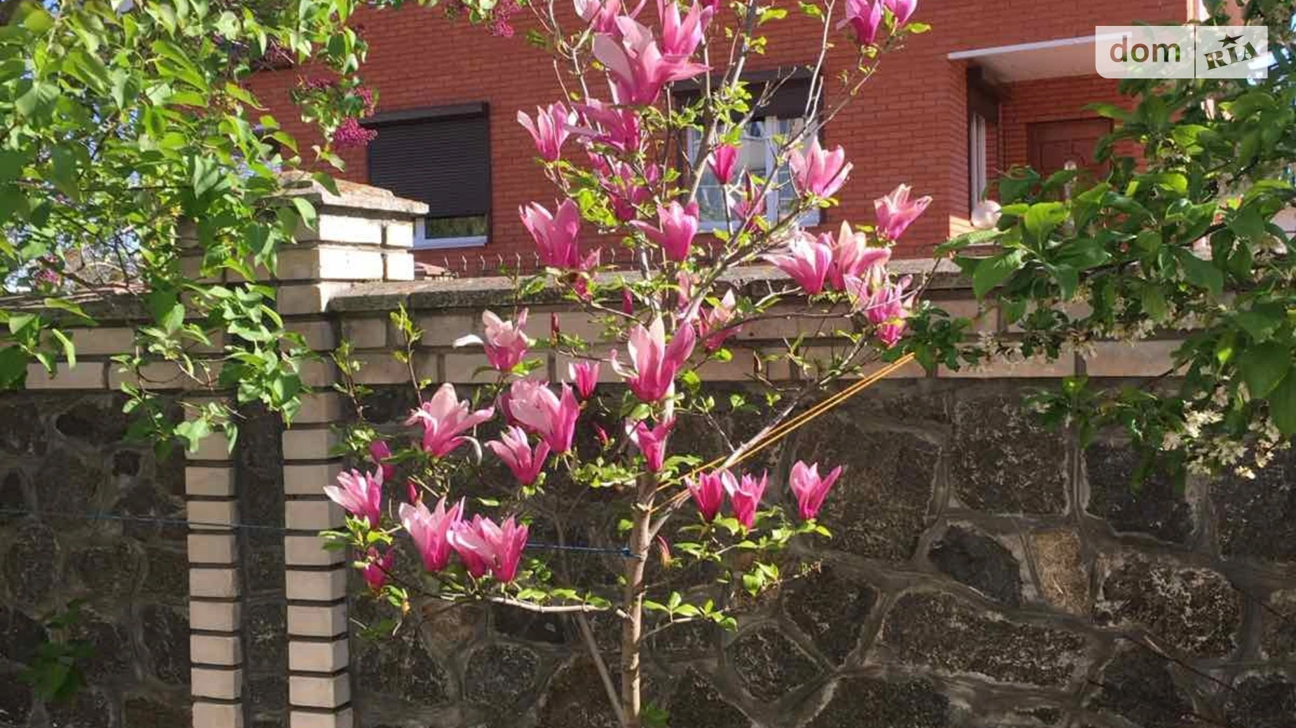 Продается дом на 2 этажа 205 кв. м с балконом, цена: 170000 $ - фото 3