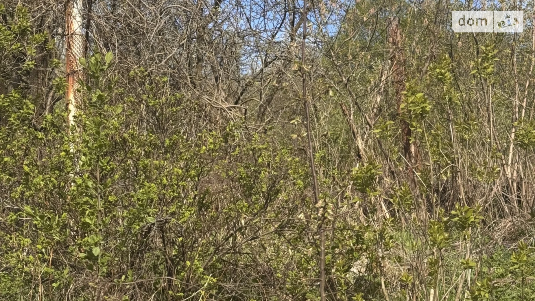 Продается земельный участок 6 соток в Львовской области, цена: 42000 $ - фото 3