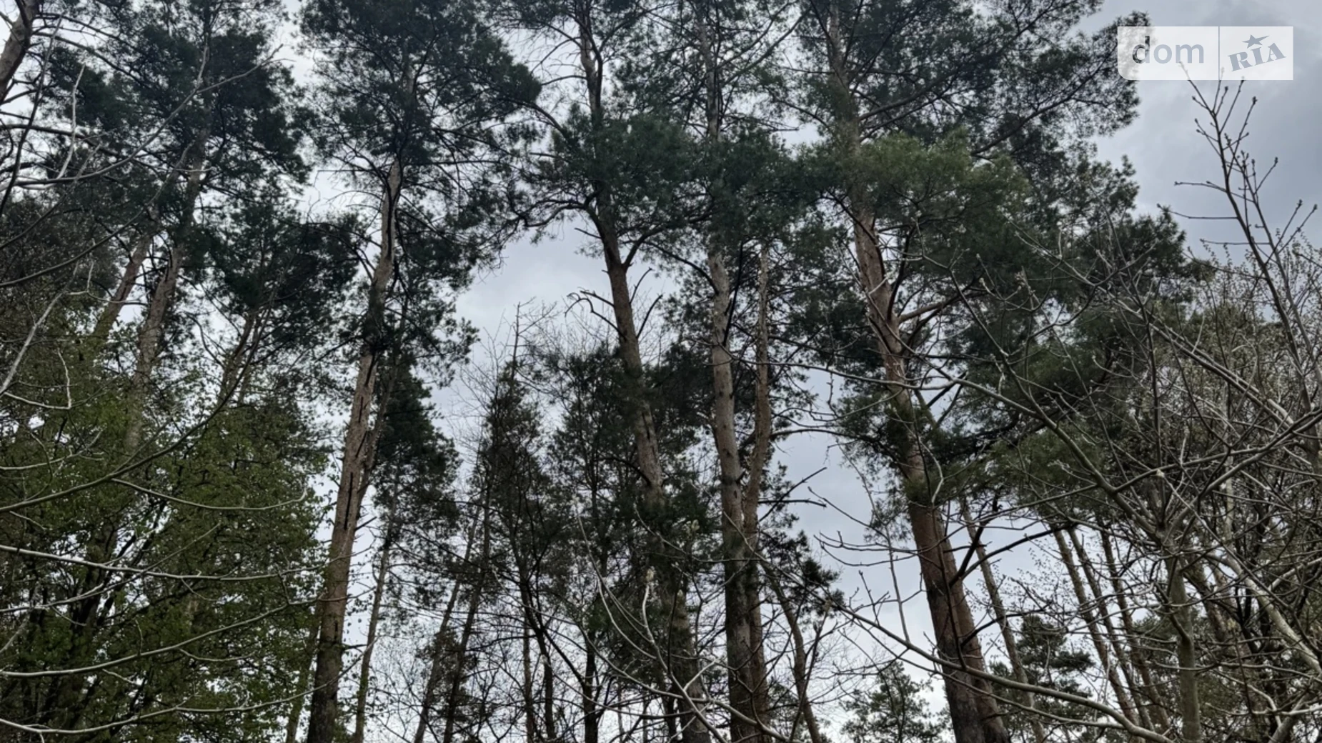 Продается земельный участок 21.88 соток в Хмельницкой области, цена: 21900 $ - фото 2