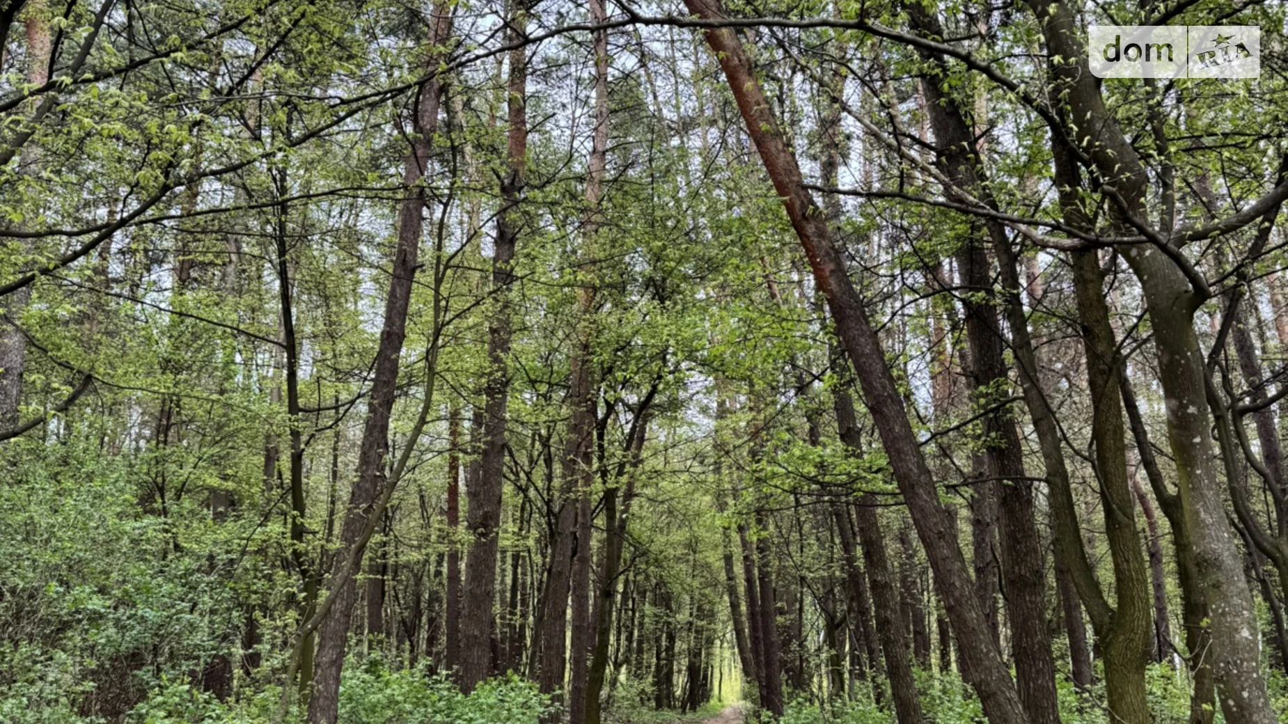 Продается земельный участок 21.88 соток в Хмельницкой области, цена: 21900 $ - фото 3