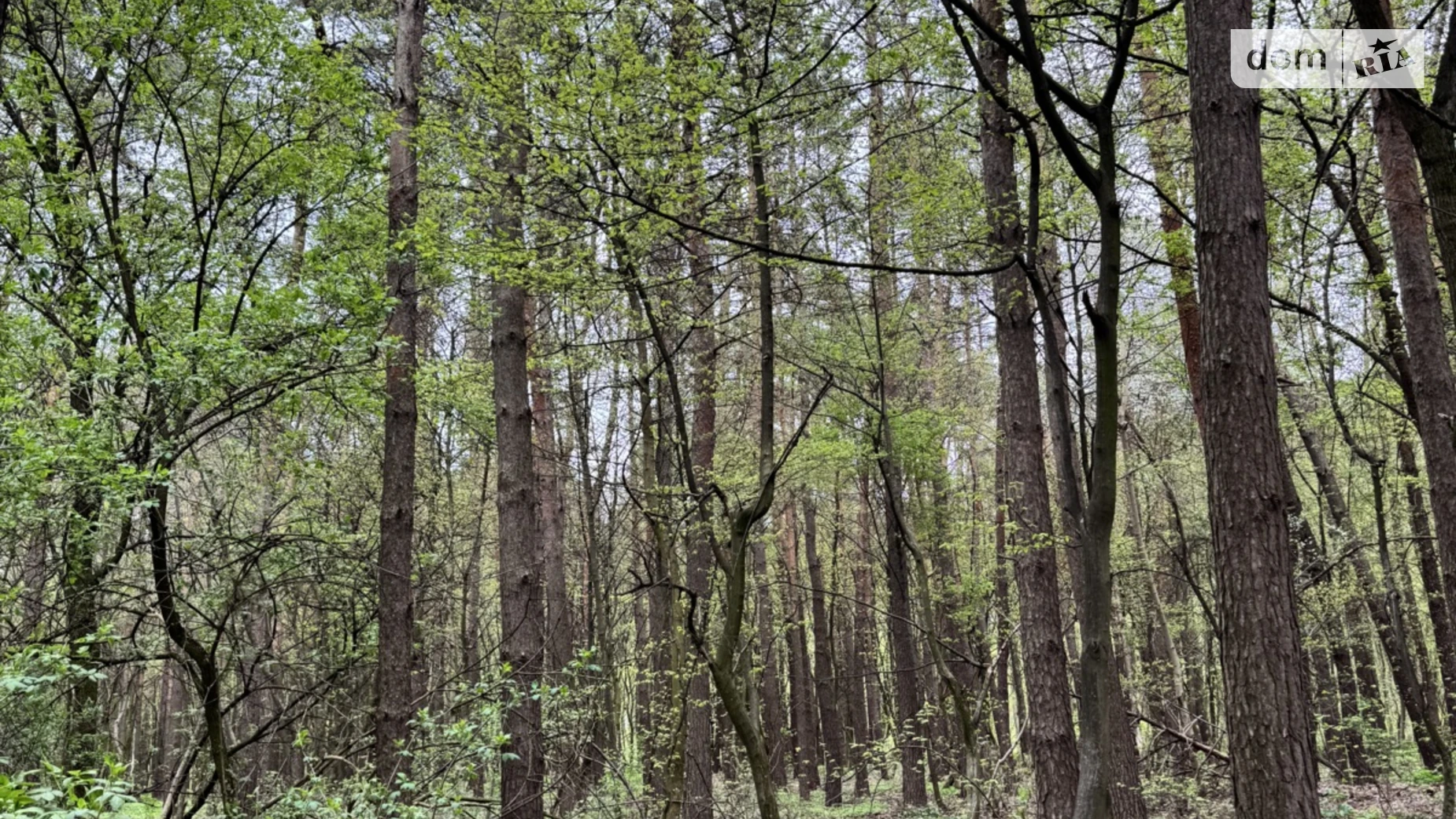 Продается земельный участок 21.88 соток в Хмельницкой области, цена: 21900 $ - фото 4