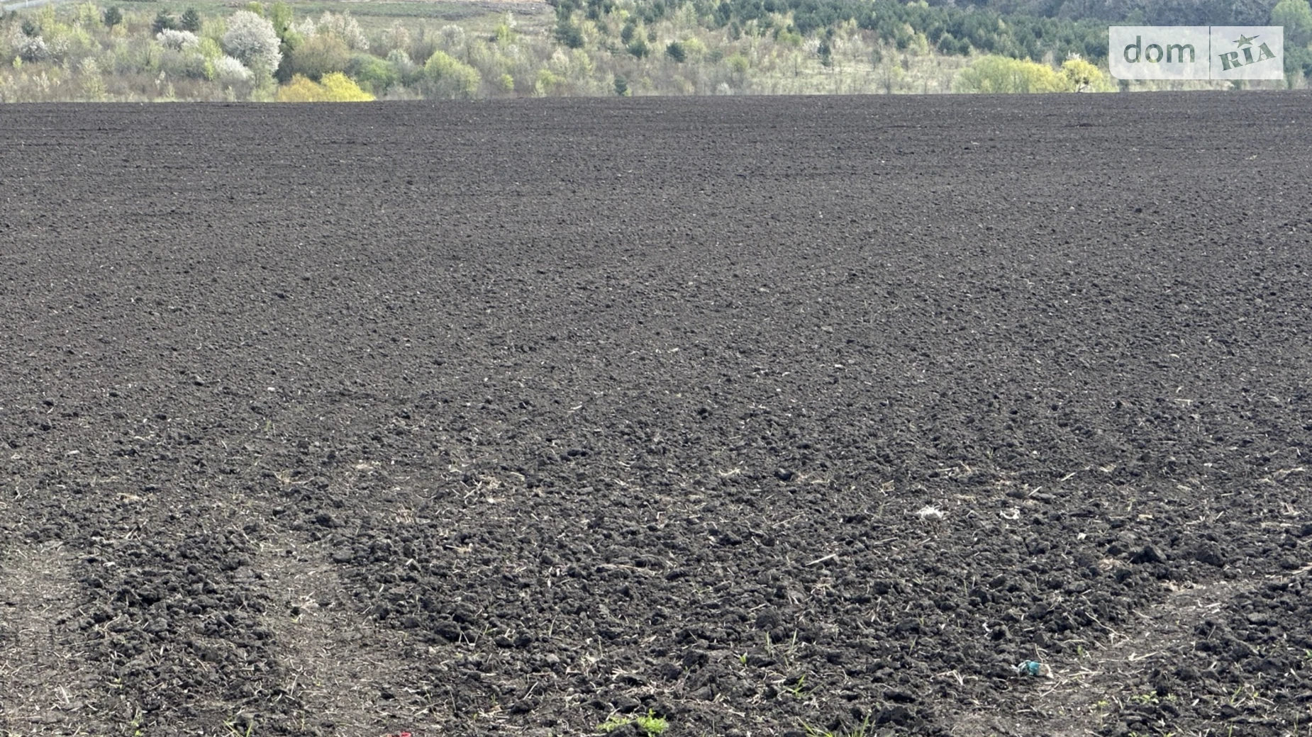 Продается земельный участок 2 соток в Хмельницкой области, цена: 100000 $ - фото 3