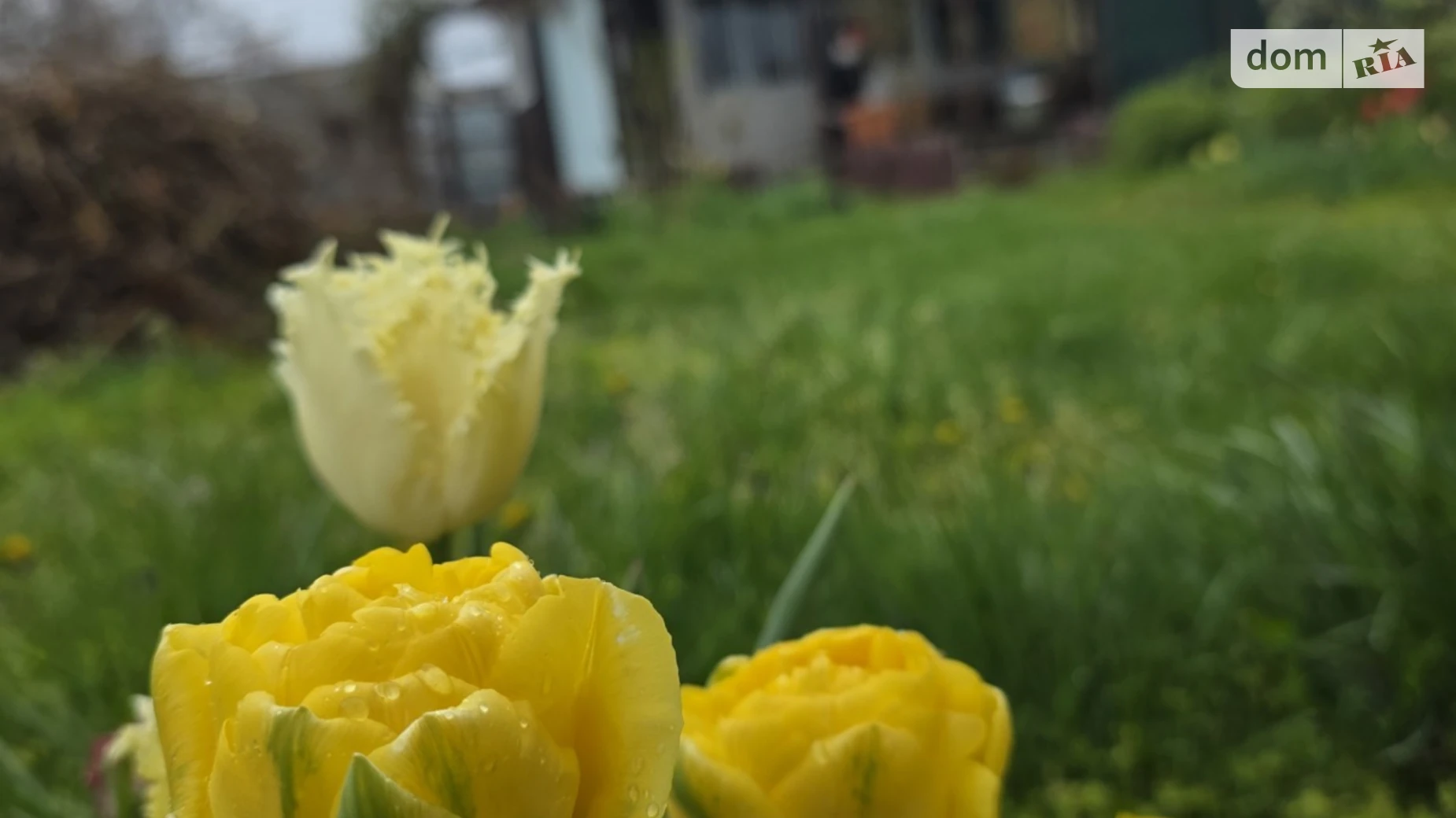 Продается дом на 2 этажа 46.8 кв. м с верандой, цена: 17000 $ - фото 2