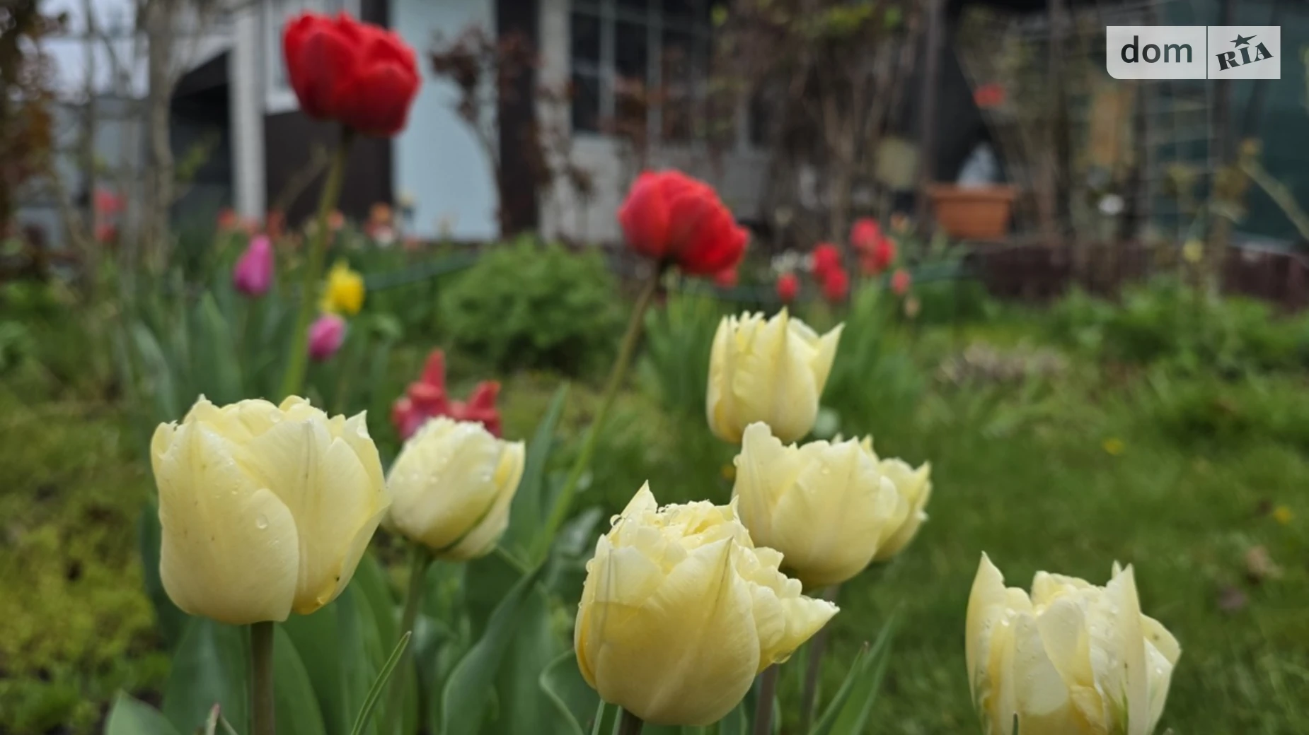 Продается дом на 2 этажа 46.8 кв. м с верандой, цена: 17000 $ - фото 3