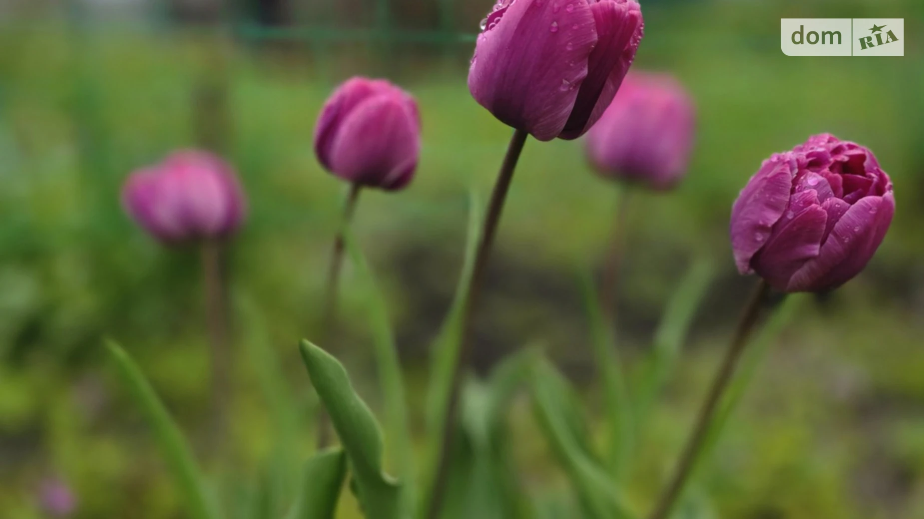 Продается дом на 2 этажа 46.8 кв. м с верандой, цена: 17000 $ - фото 4