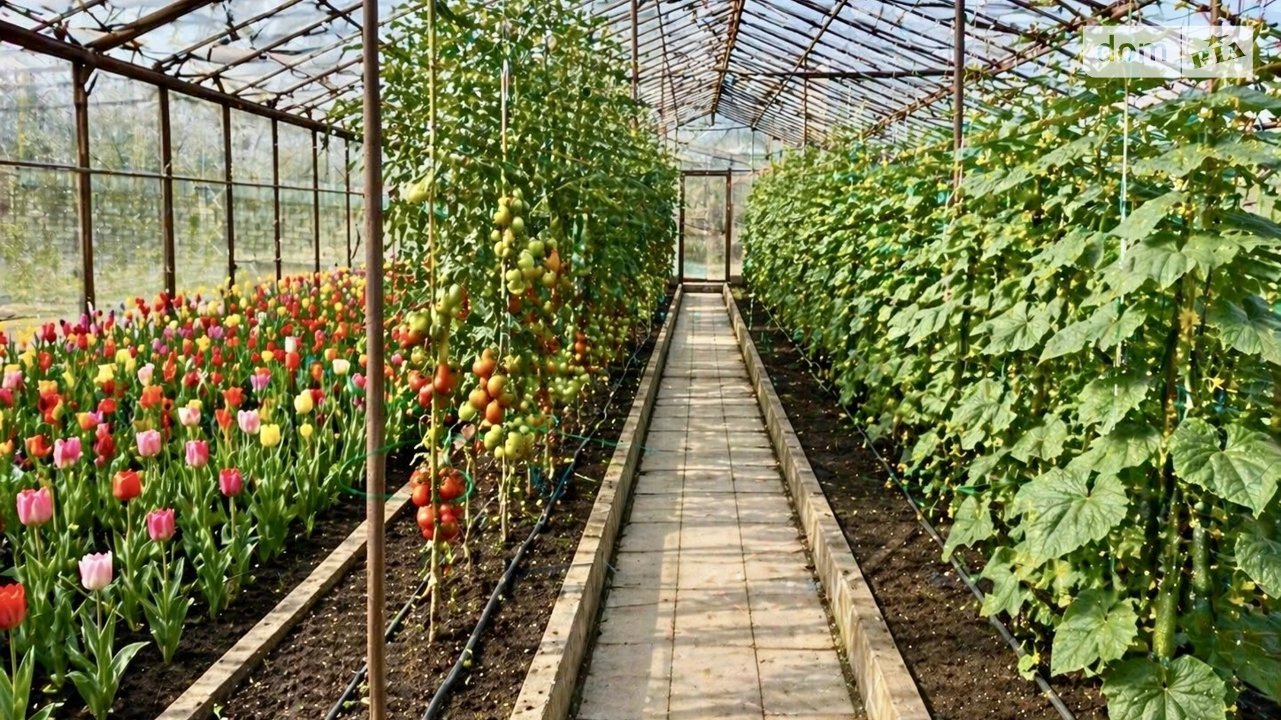 Продается дом на 2 этажа 191.8 кв. м с камином, цена: 175000 $ - фото 2