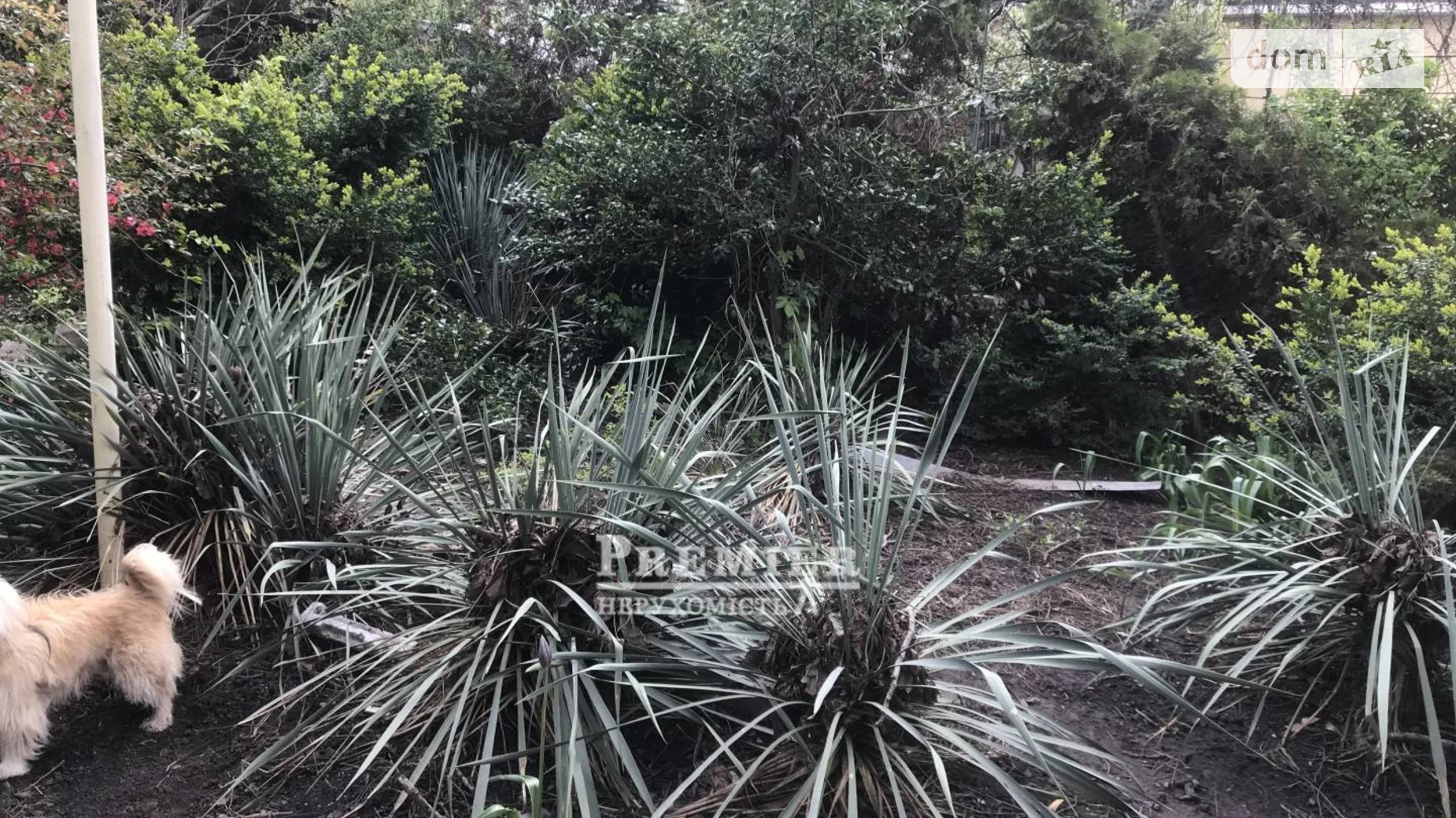 Продается часть дома 56.7 кв. м с участком, цена: 140000 $ - фото 3