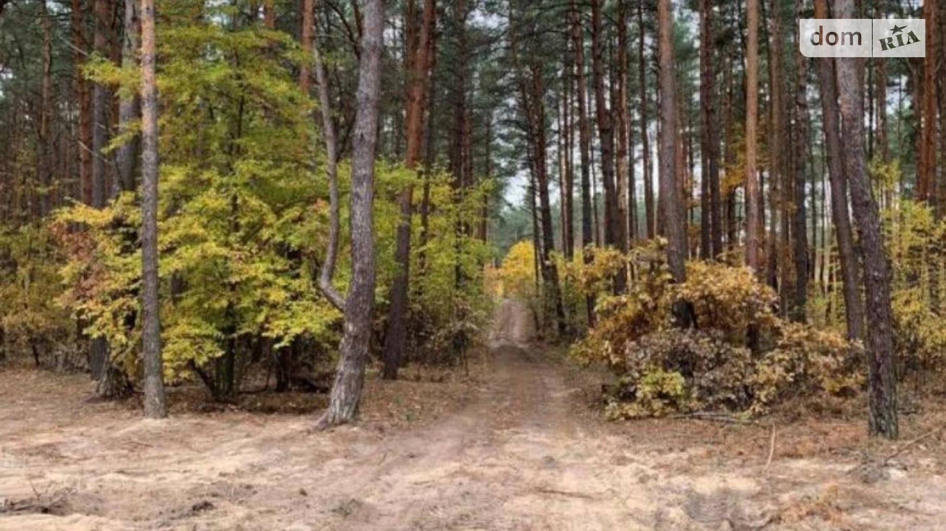 Козин (Обухов), цена: 500000 $ - фото 2