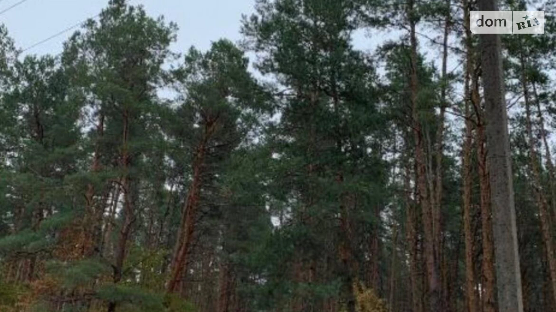Козин (Обухов), цена: 500000 $ - фото 2