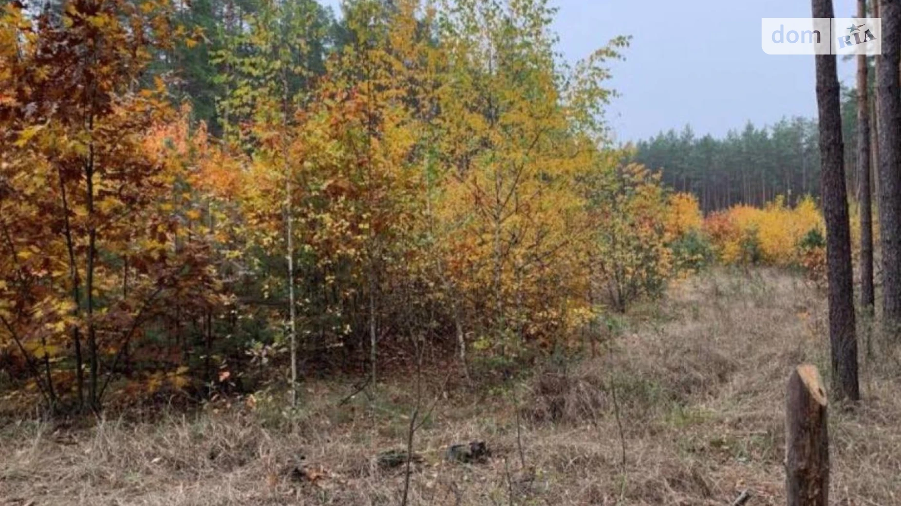 Козин (Обухов), цена: 500000 $ - фото 3