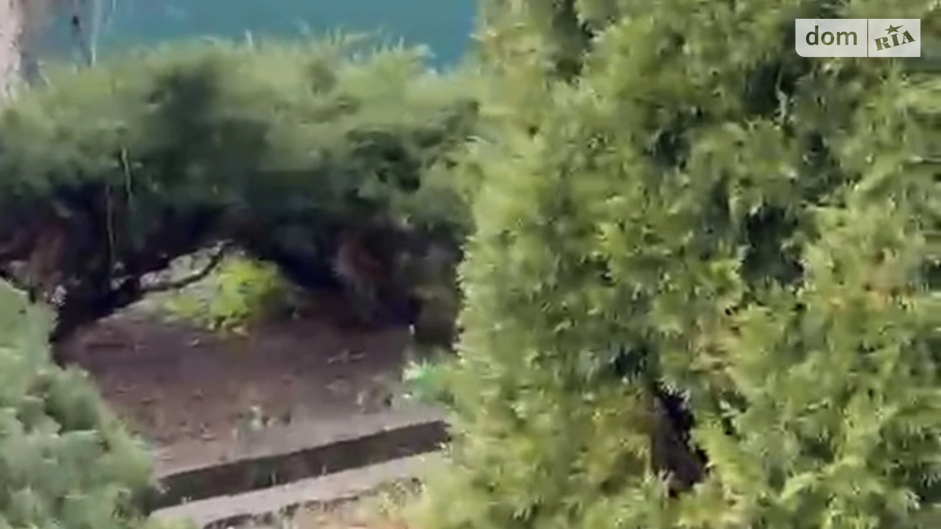 Продается одноэтажный дом 56.9 кв. м с террасой, цена: 100000 $ - фото 4