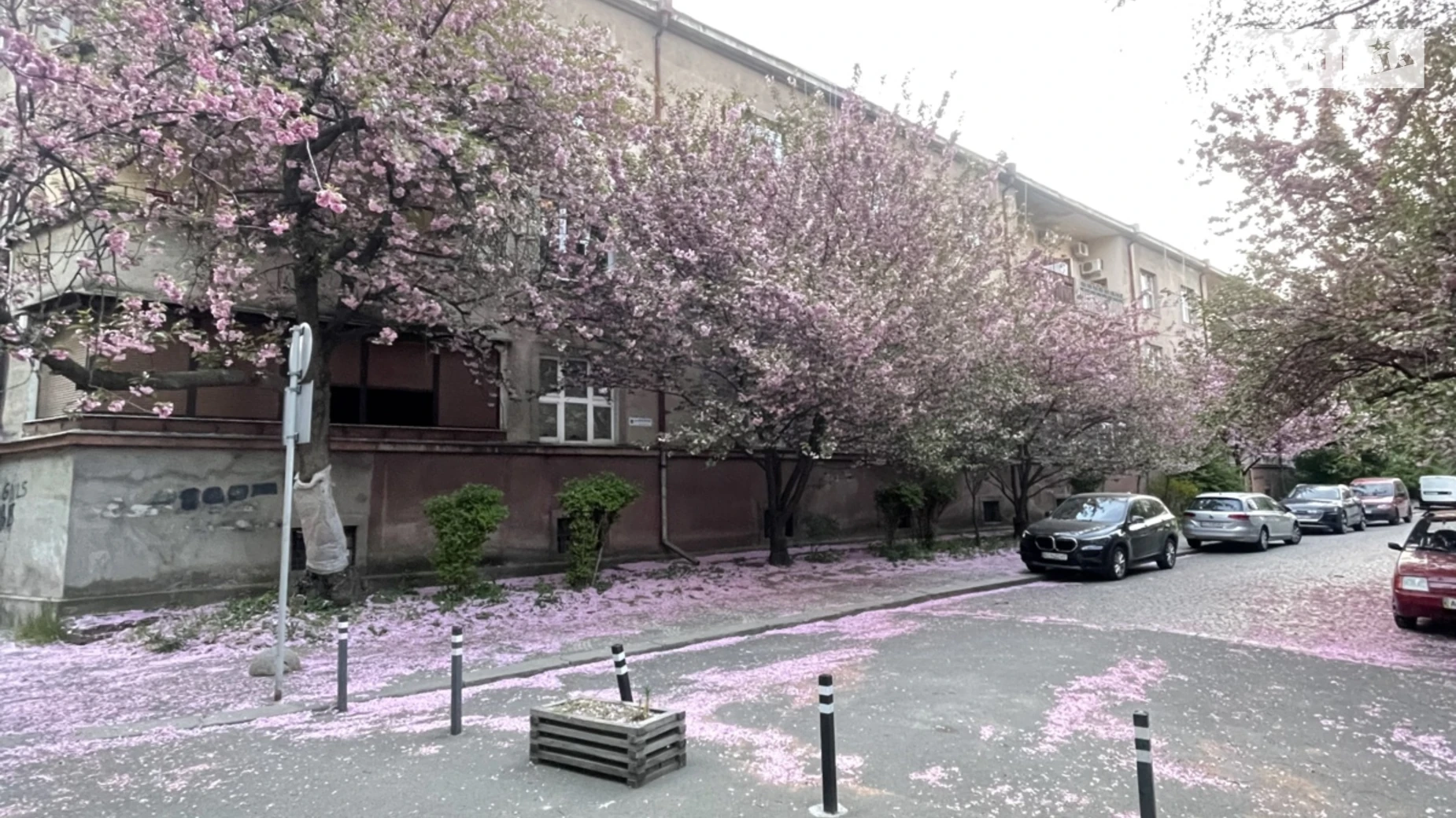 Продается 2-комнатная квартира 71 кв. м в Ужгороде, наб. Независимости, 21 - фото 3