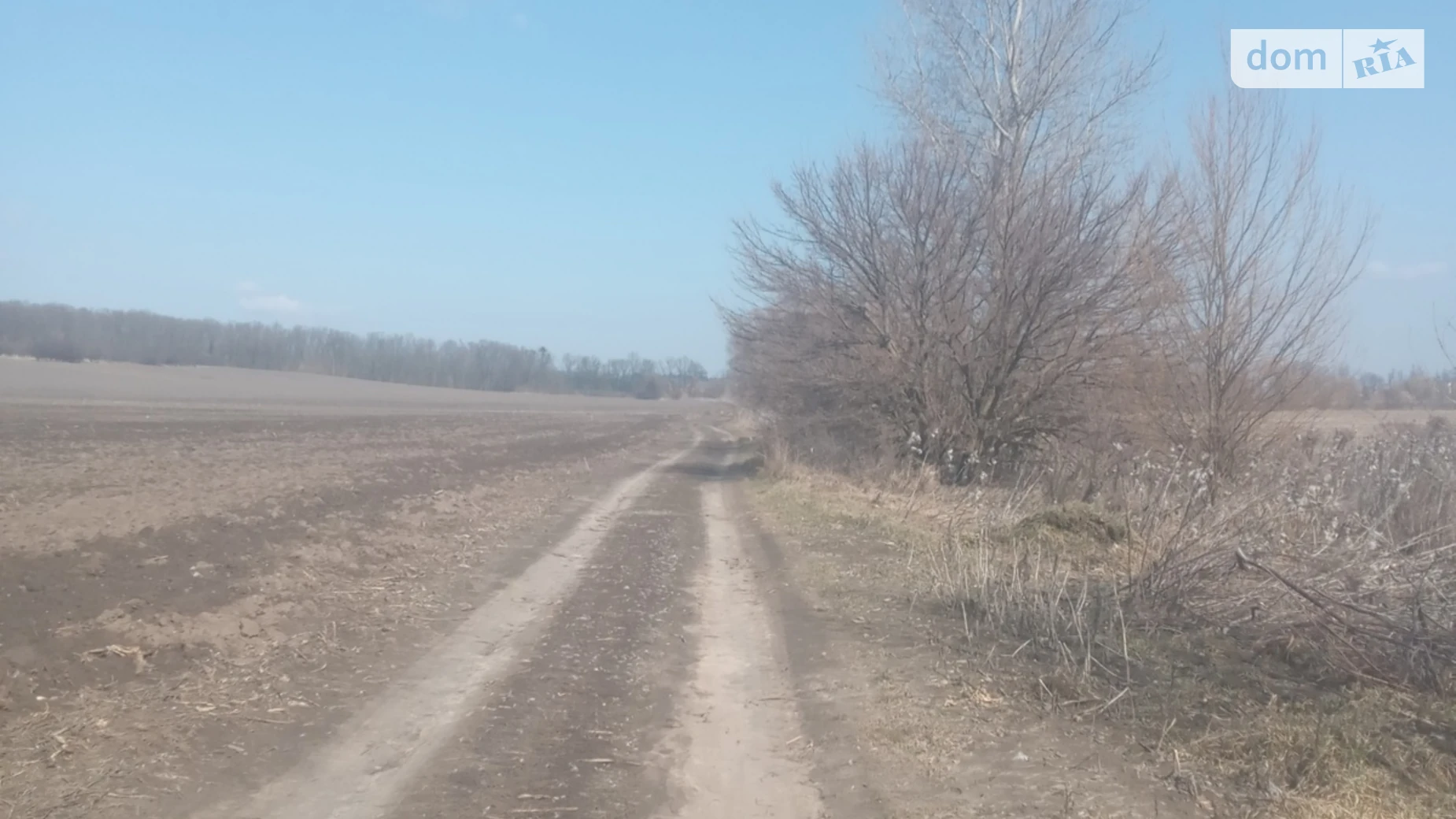 Лука (Тараща), цена: 89830 $ - фото 2