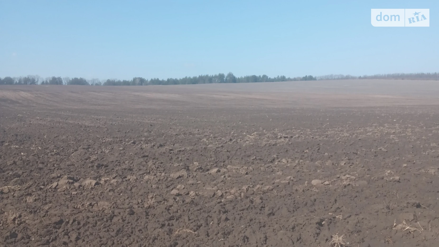 Лука (Тараща), цена: 89830 $ - фото 3