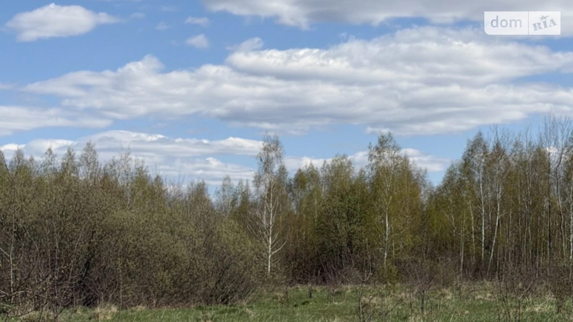 Продається земельна ділянка 2.96 соток у Житомирській області, цена: 118400 $ - фото 2