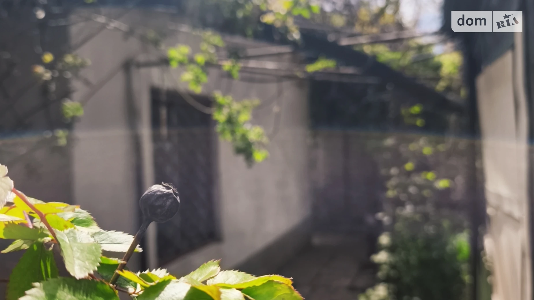 Продается одноэтажный дом 65 кв. м с садом, цена: 72000 $ - фото 2