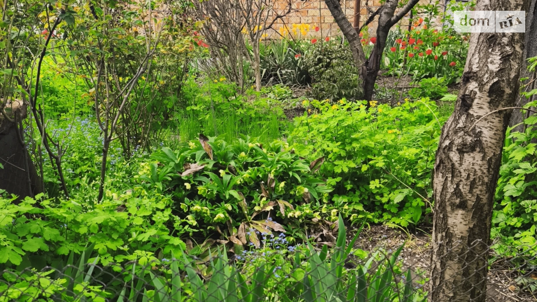 Продается одноэтажный дом 65 кв. м с садом, цена: 72000 $ - фото 4