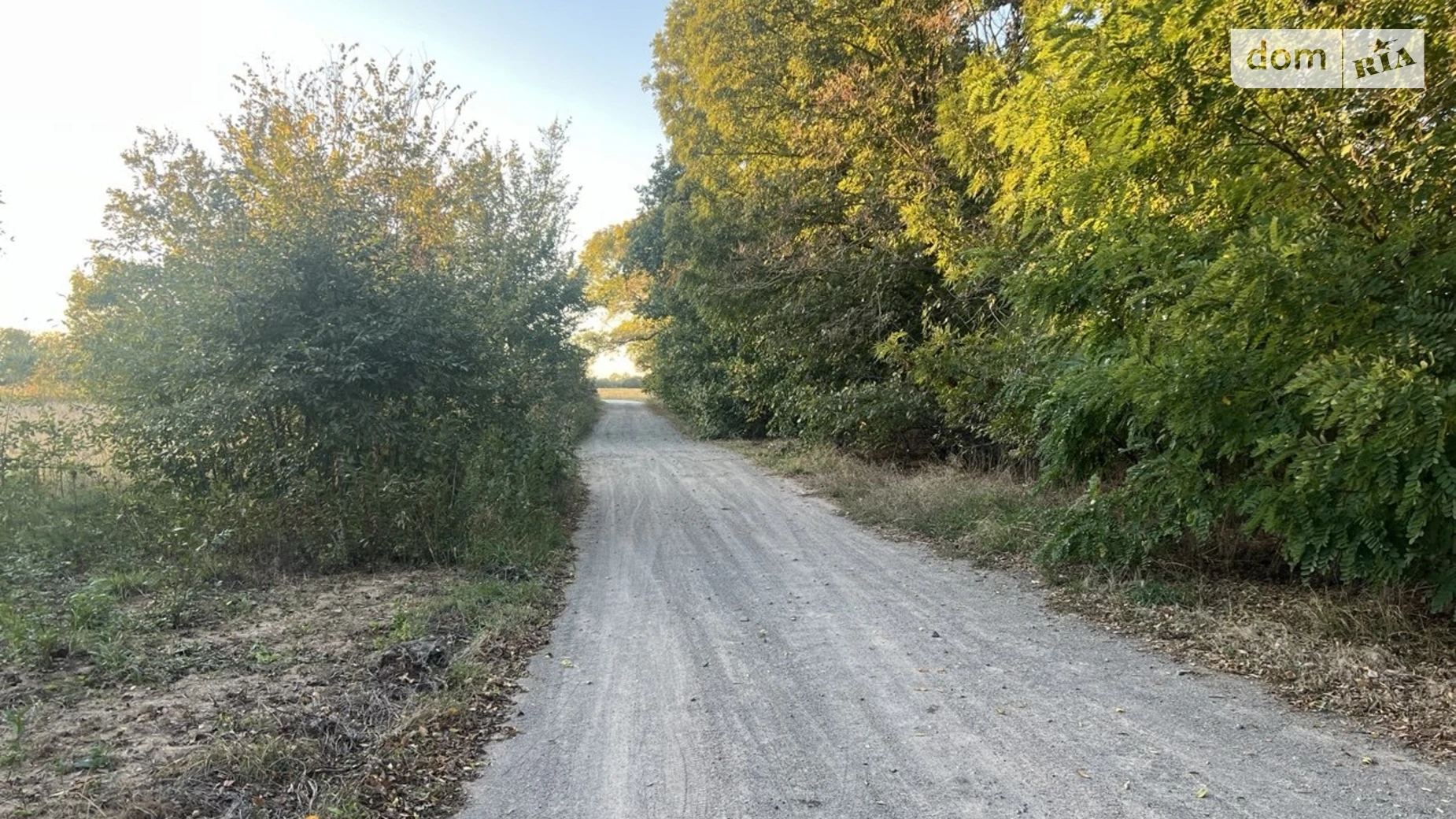 ул. Садовая Бохоники, цена: 33000 $ - фото 3