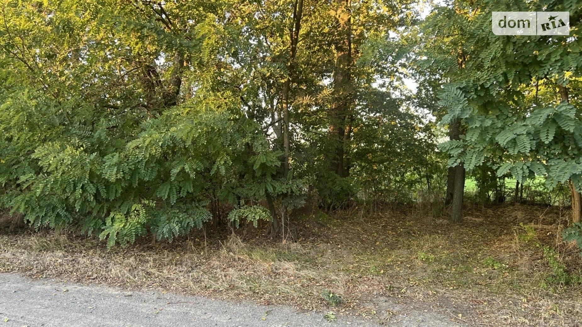 ул. Садовая Бохоники, цена: 33000 $ - фото 4