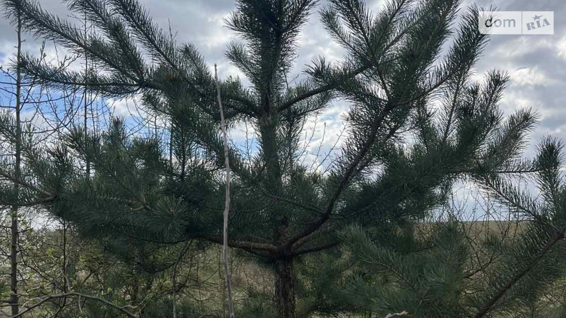 Продається земельна ділянка 6 соток у Вінницькій області, цена: 10000 $ - фото 3