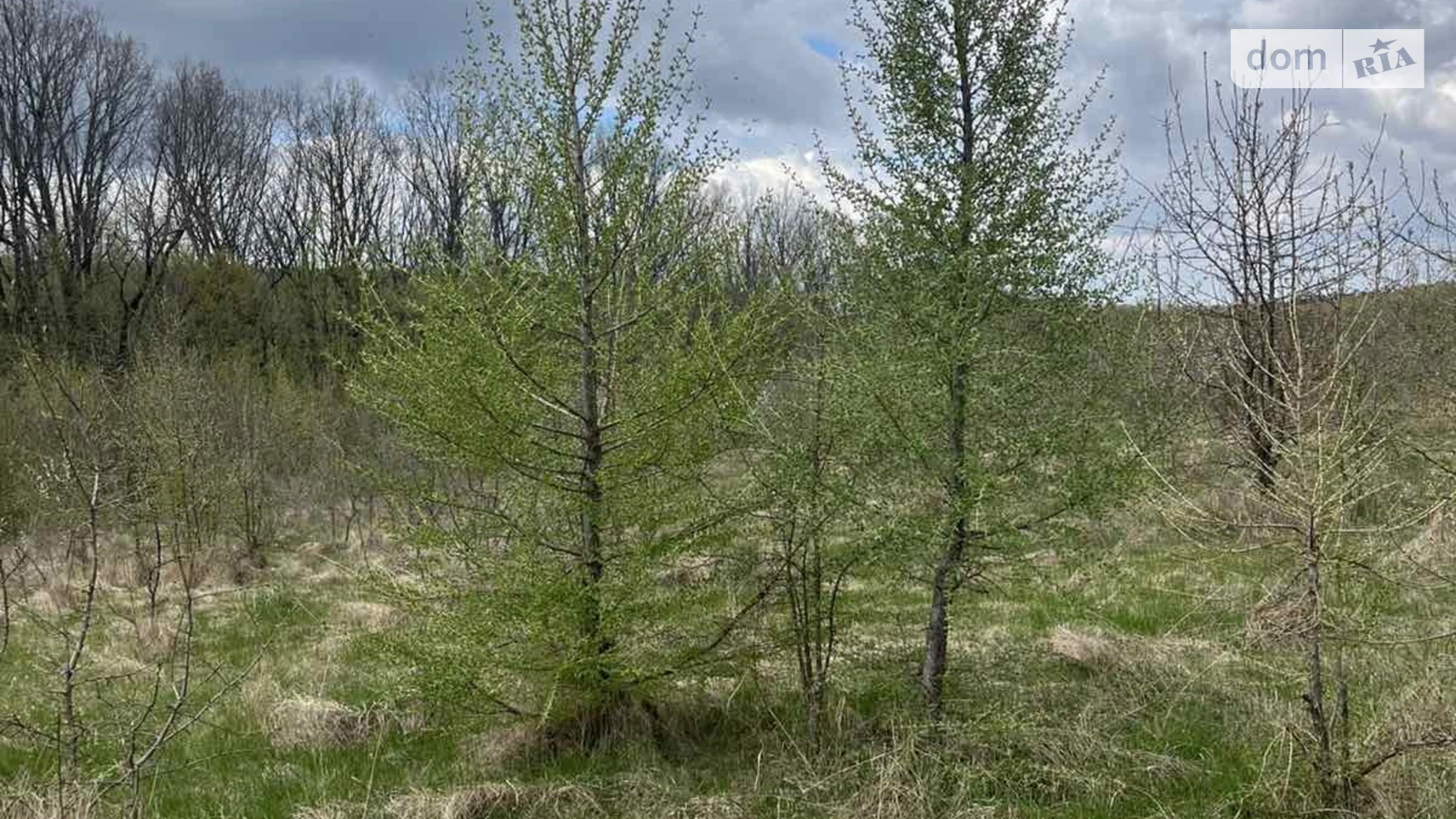 Продається земельна ділянка 6 соток у Вінницькій області, цена: 10000 $ - фото 4